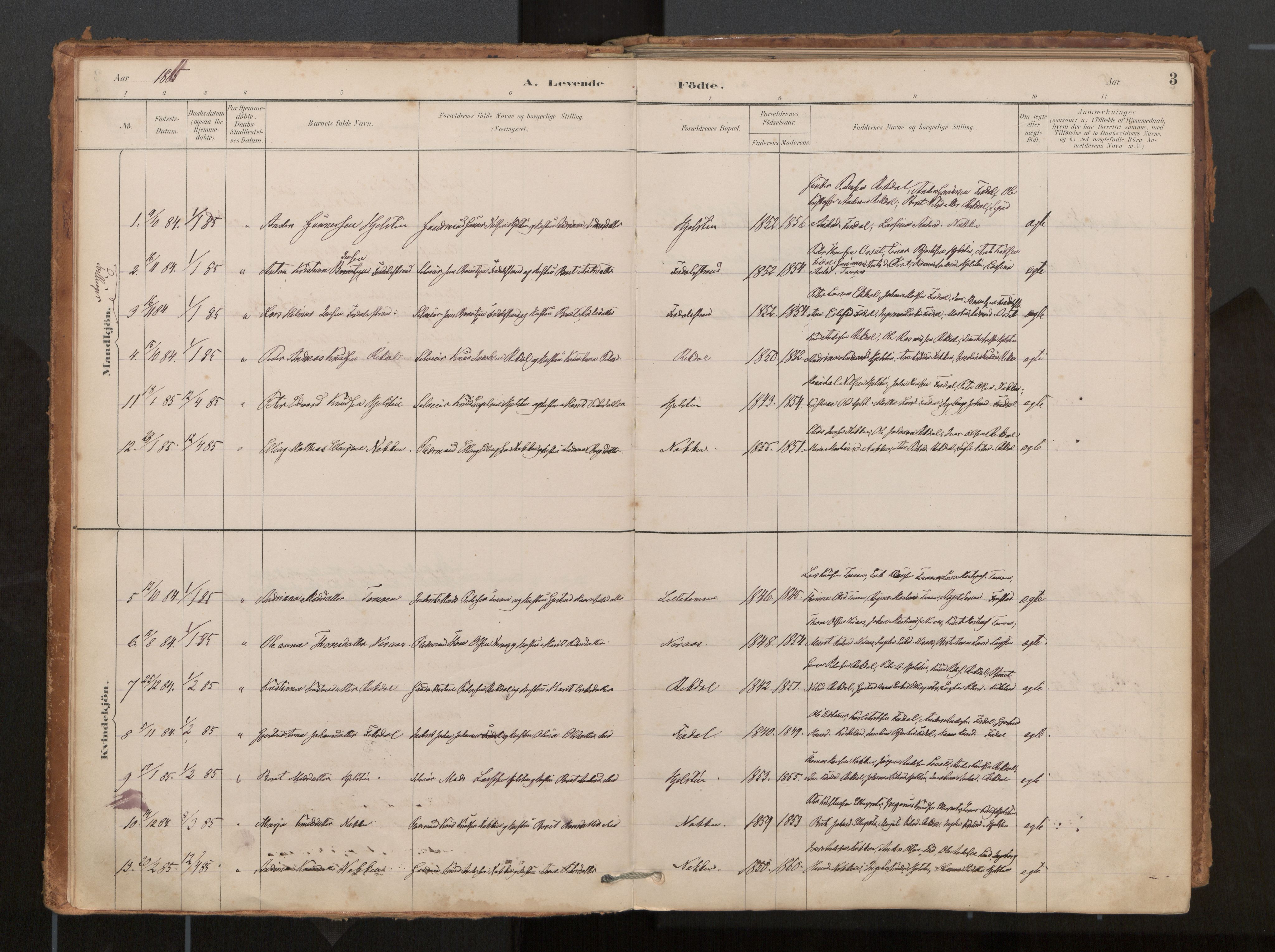 Ministerialprotokoller, klokkerbøker og fødselsregistre - Møre og Romsdal, AV/SAT-A-1454/540/L0540a: Parish register (official) no. 540A02, 1884-1908, p. 3