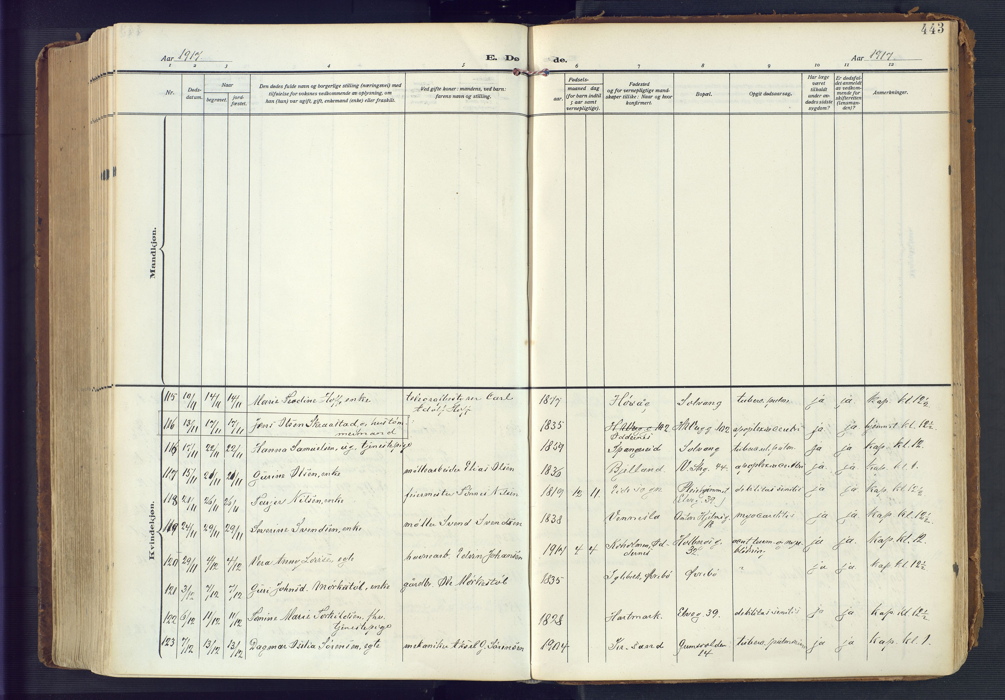 Kristiansand domprosti, AV/SAK-1112-0006/F/Fa/L0023: Parish register (official) no. A 22, 1909-1917, p. 443