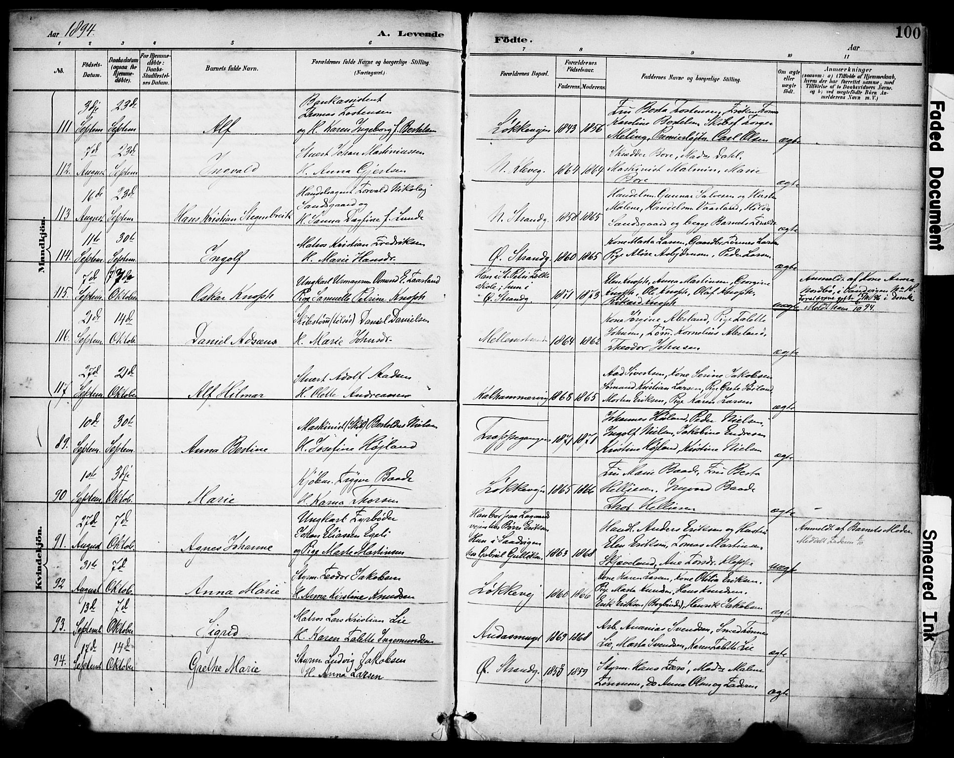 Domkirken sokneprestkontor, AV/SAST-A-101812/001/30/30BA/L0030: Parish register (official) no. A 29, 1889-1902, p. 100