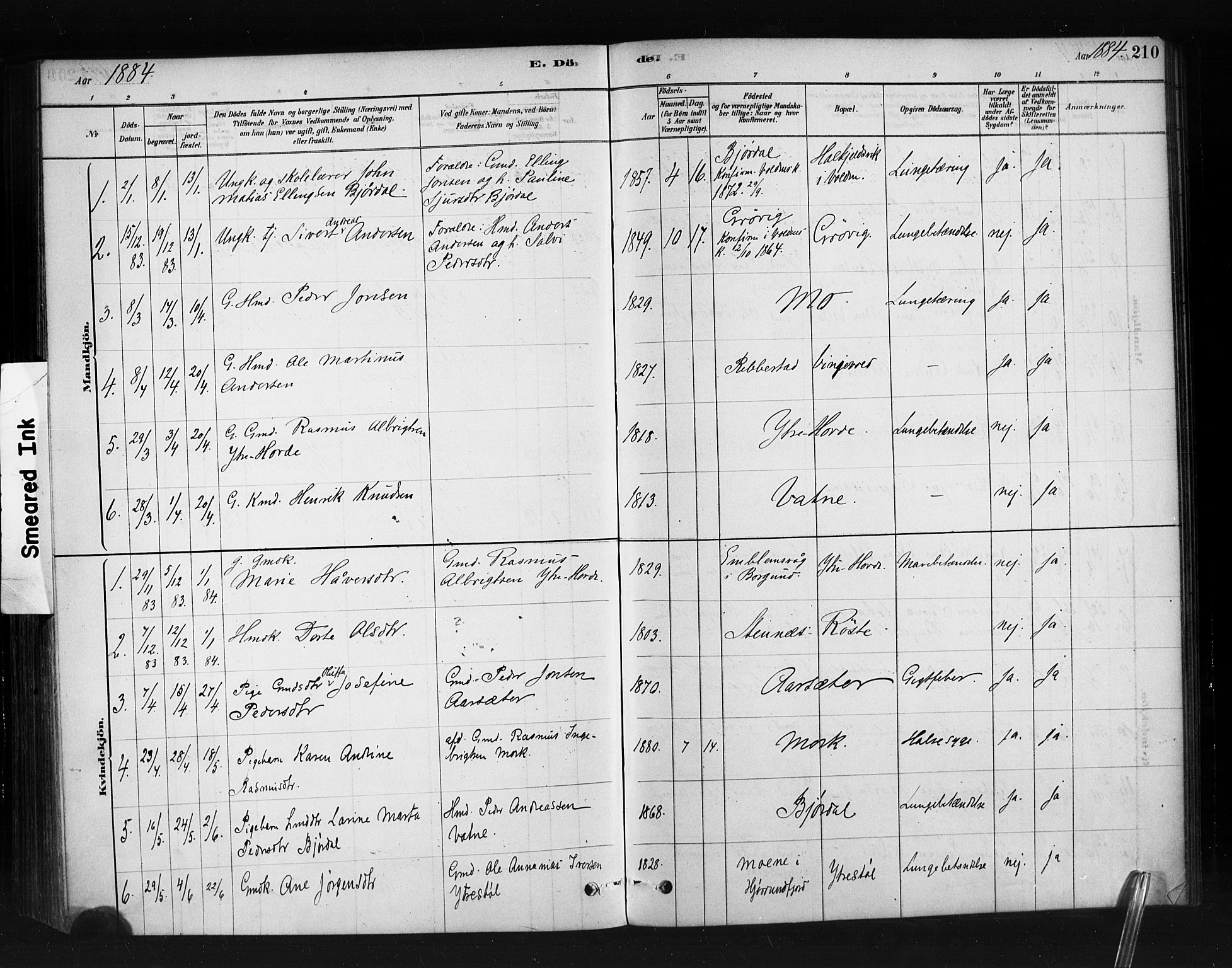 Ministerialprotokoller, klokkerbøker og fødselsregistre - Møre og Romsdal, AV/SAT-A-1454/513/L0176: Parish register (official) no. 513A03, 1877-1889, p. 210