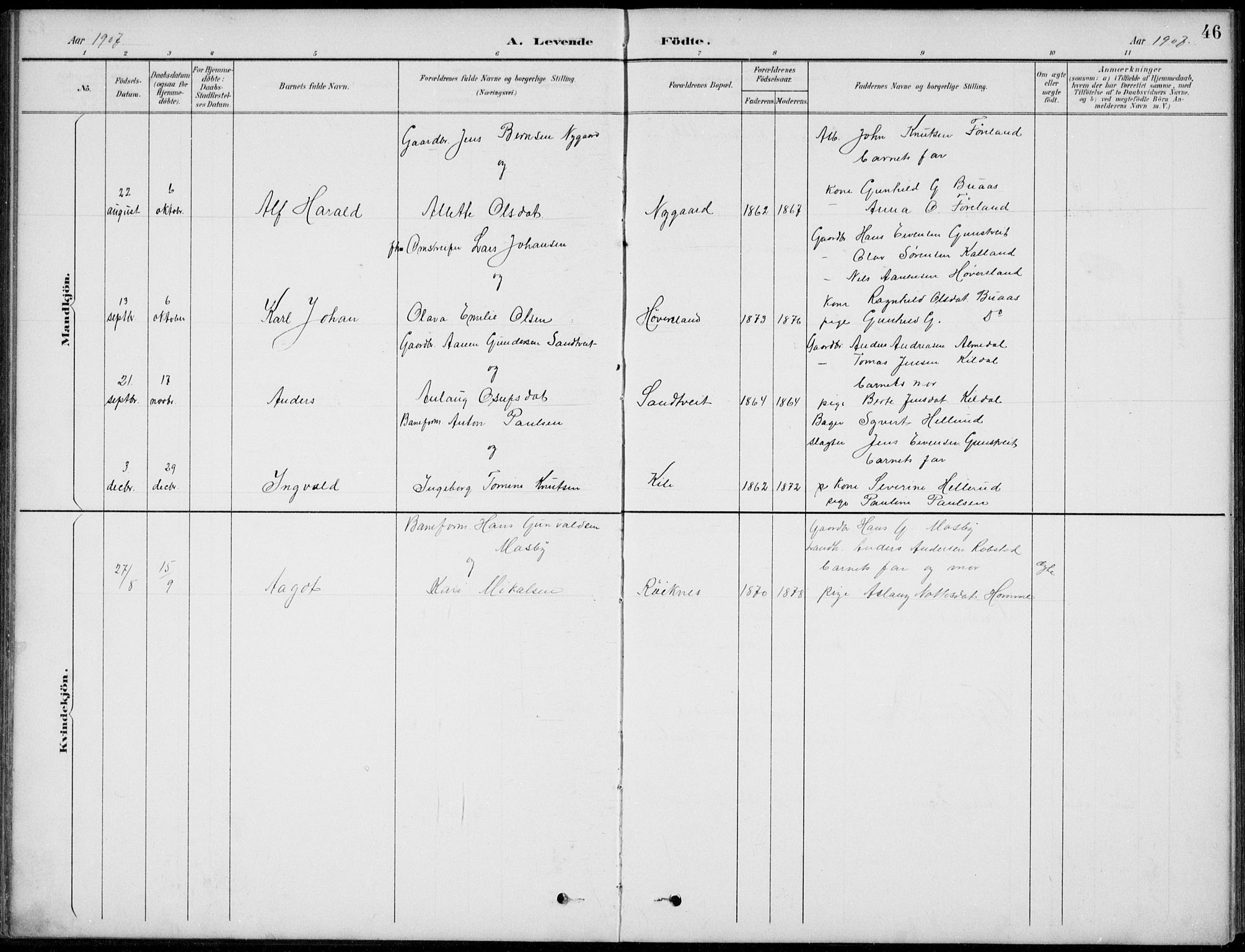 Vennesla sokneprestkontor, AV/SAK-1111-0045/Fb/Fba/L0003: Parish register (copy) no. B 3, 1890-1919, p. 46