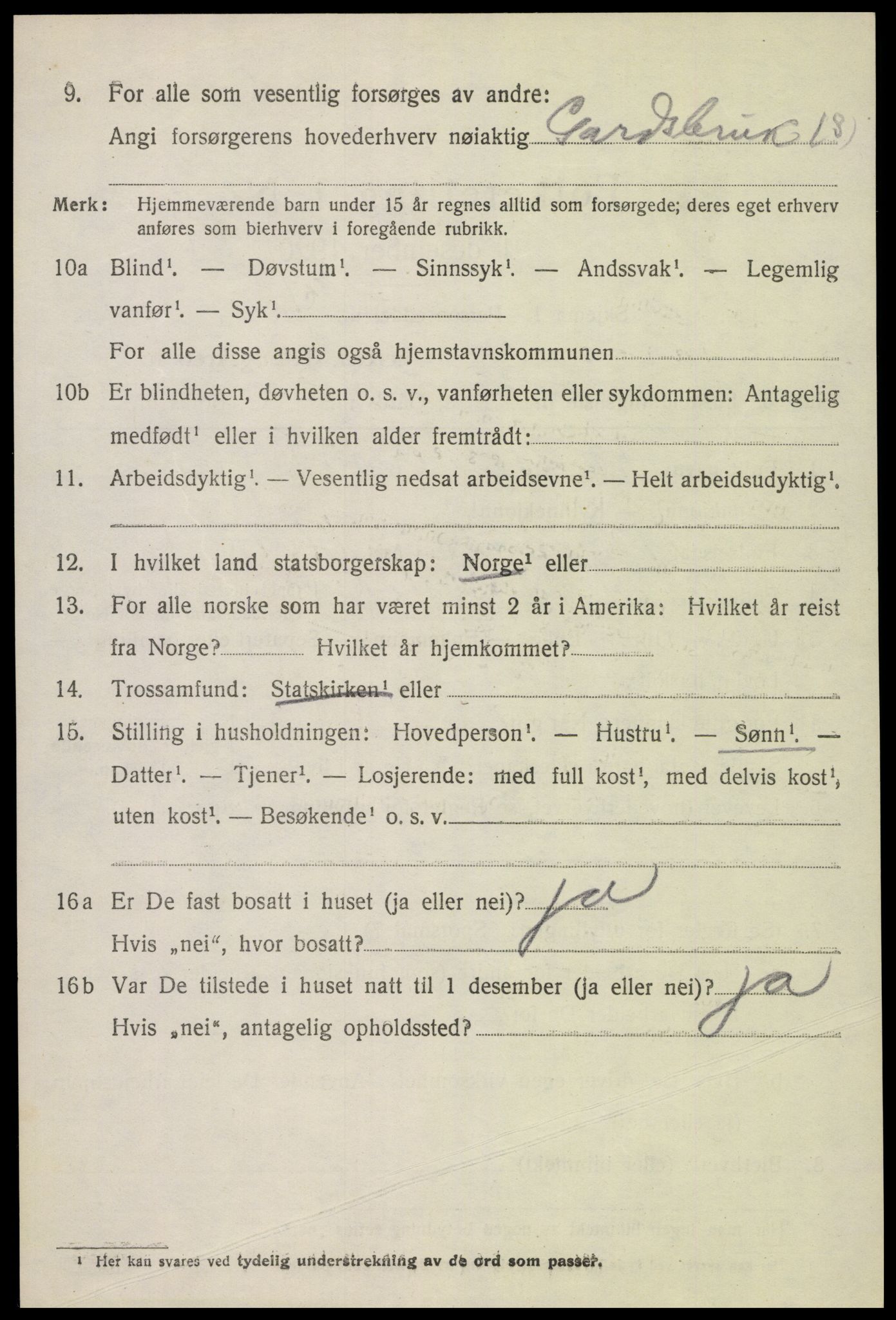 SAK, 1920 census for Hornnes, 1920, p. 3112