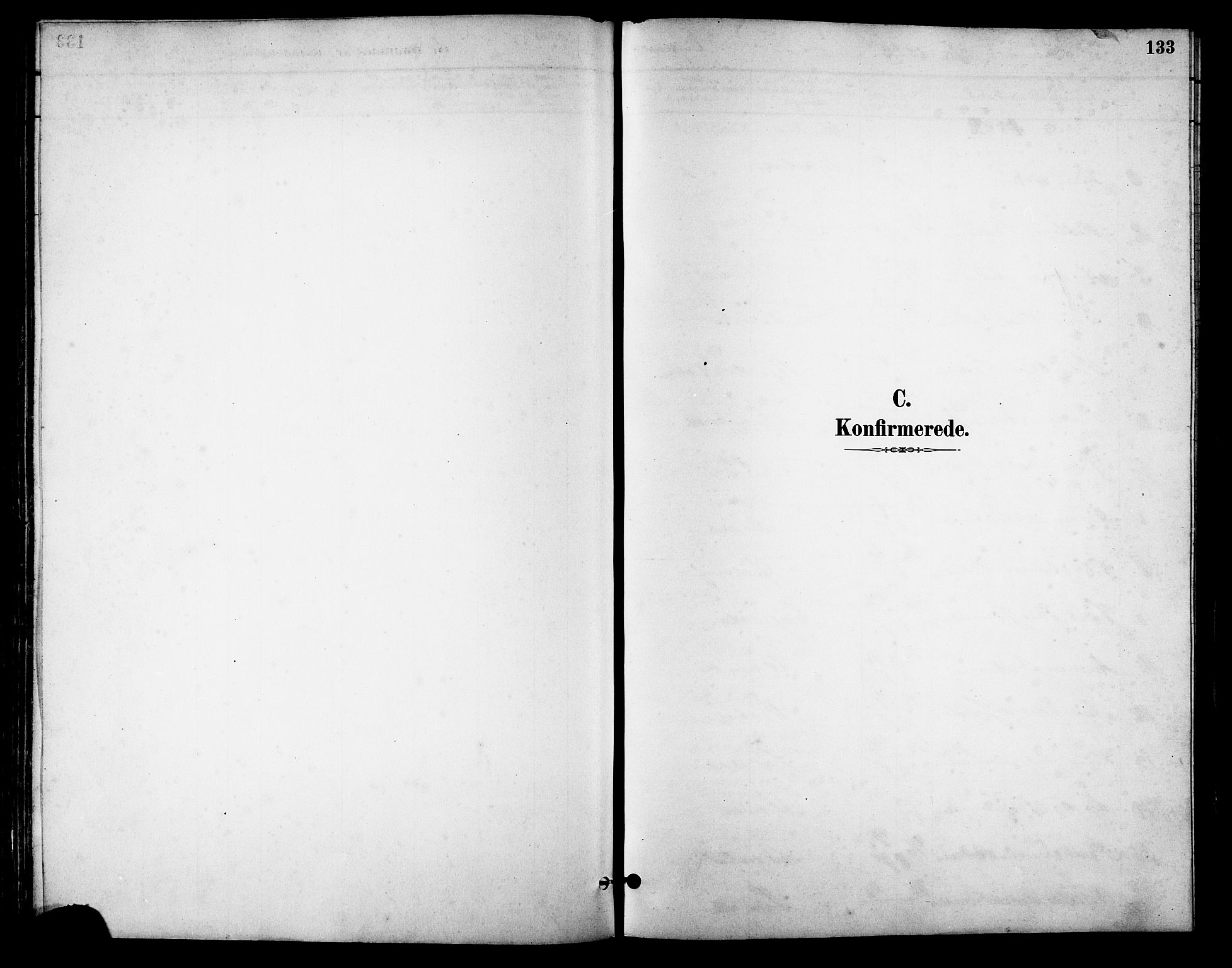 Ministerialprotokoller, klokkerbøker og fødselsregistre - Møre og Romsdal, SAT/A-1454/513/L0189: Parish register (copy) no. 513C03, 1883-1904, p. 133