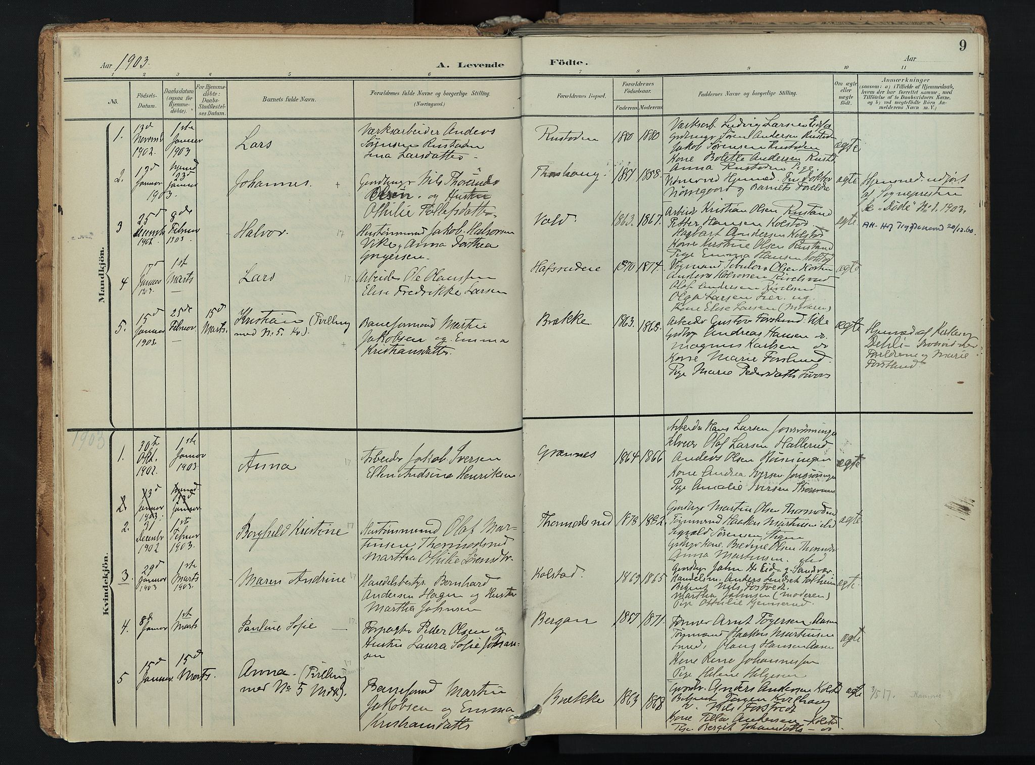 Hof kirkebøker, SAKO/A-64/F/Fa/L0008: Parish register (official) no. I 8, 1902-1921, p. 9