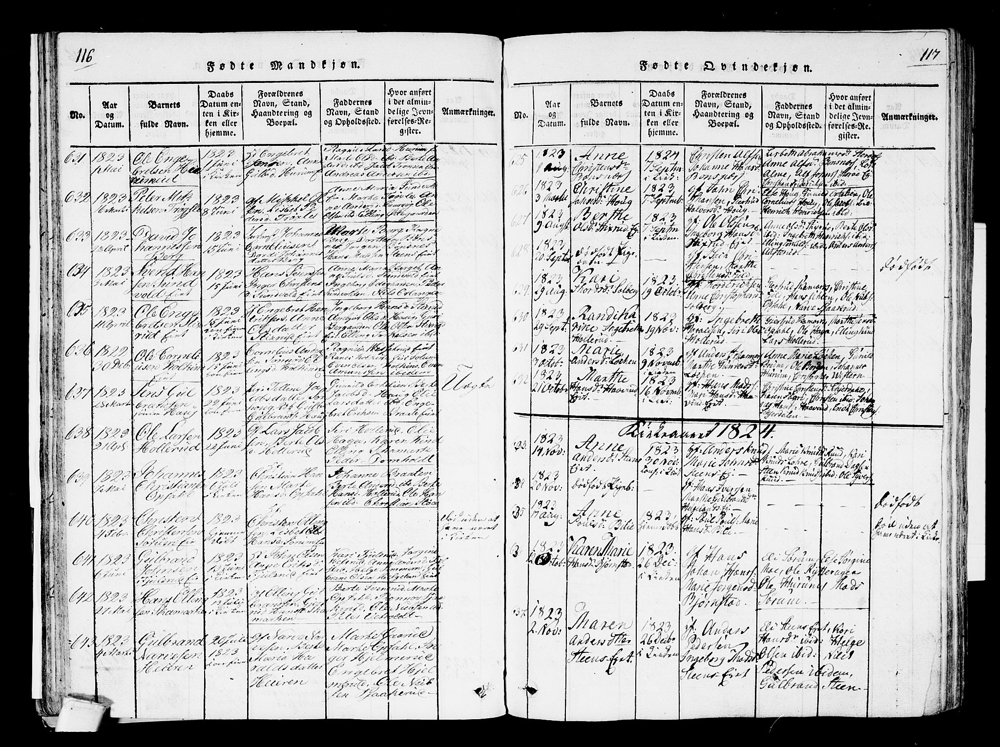 Hole kirkebøker, SAKO/A-228/F/Fa/L0004: Parish register (official) no. I 4, 1814-1833, p. 116-117
