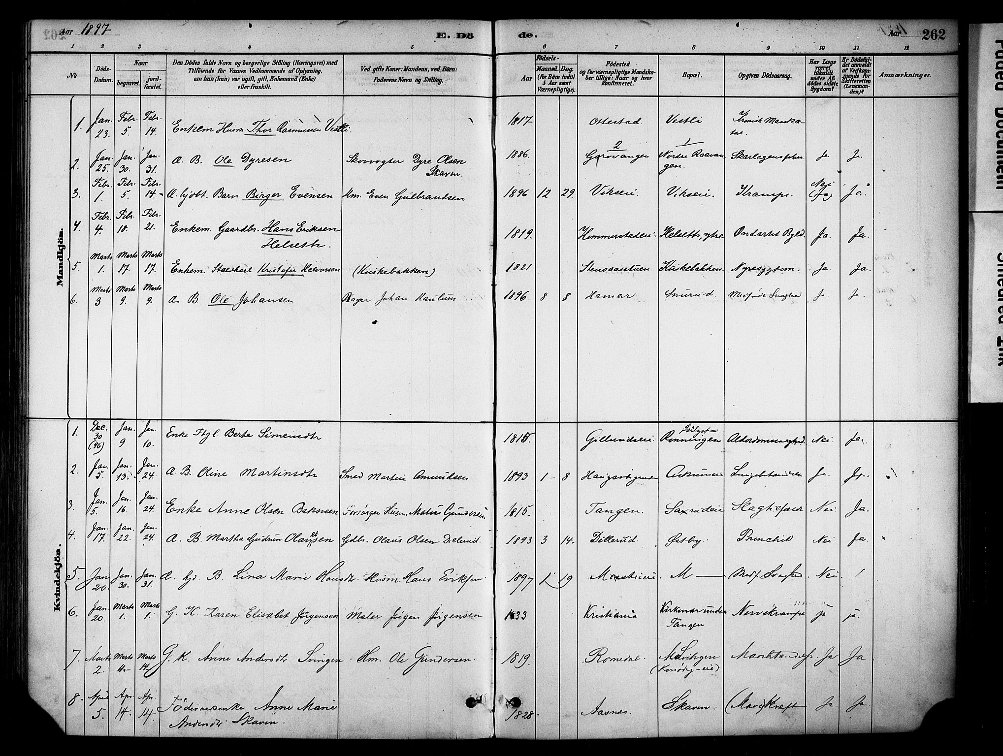 Stange prestekontor, SAH/PREST-002/K/L0018: Parish register (official) no. 18, 1880-1896, p. 262