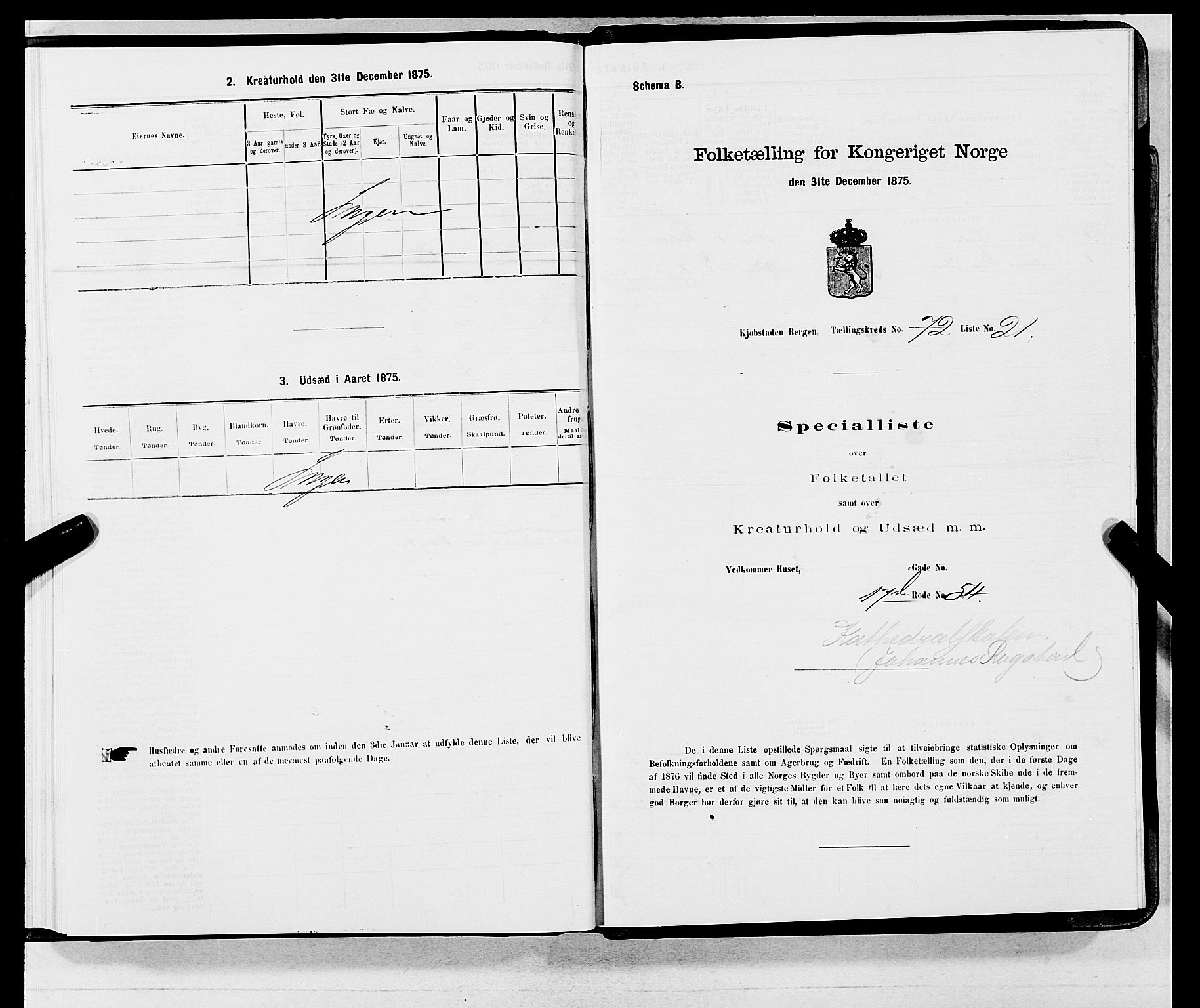 SAB, 1875 census for 1301 Bergen, 1875, p. 3866