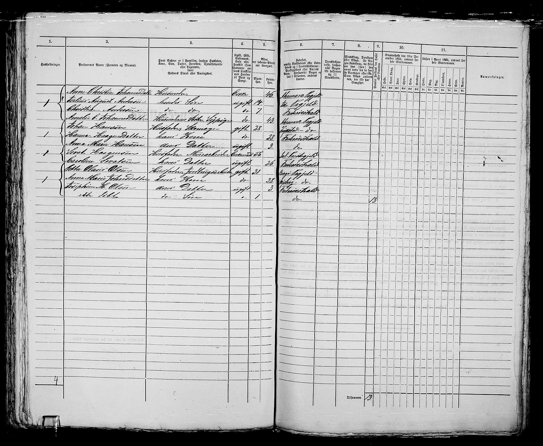 RA, 1865 census for Fredrikshald, 1865, p. 1165