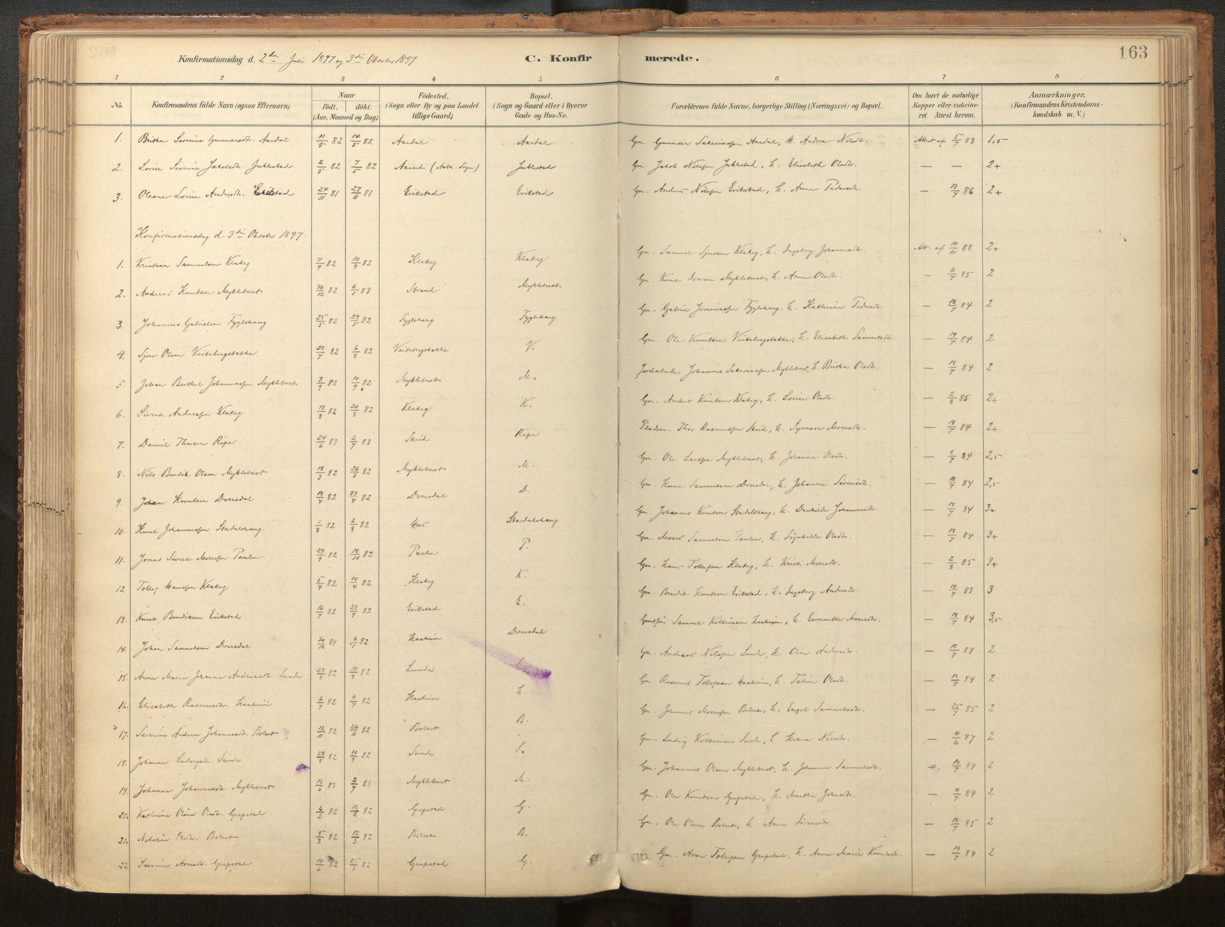 Jølster sokneprestembete, SAB/A-80701/H/Haa/Haac/L0001: Parish register (official) no. C 1, 1882-1928, p. 163