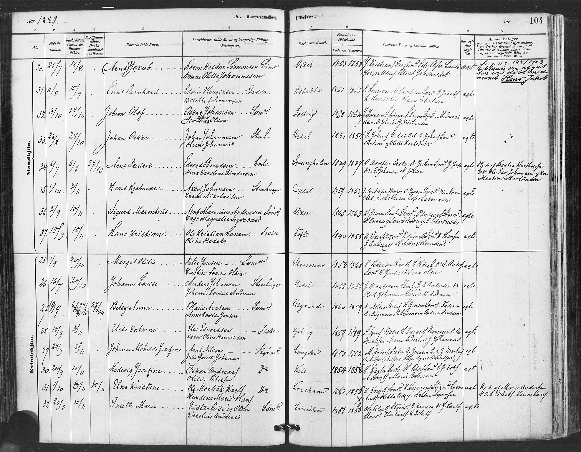 Hvaler prestekontor Kirkebøker, AV/SAO-A-2001/F/Fa/L0008: Parish register (official) no. I 8, 1878-1895, p. 104