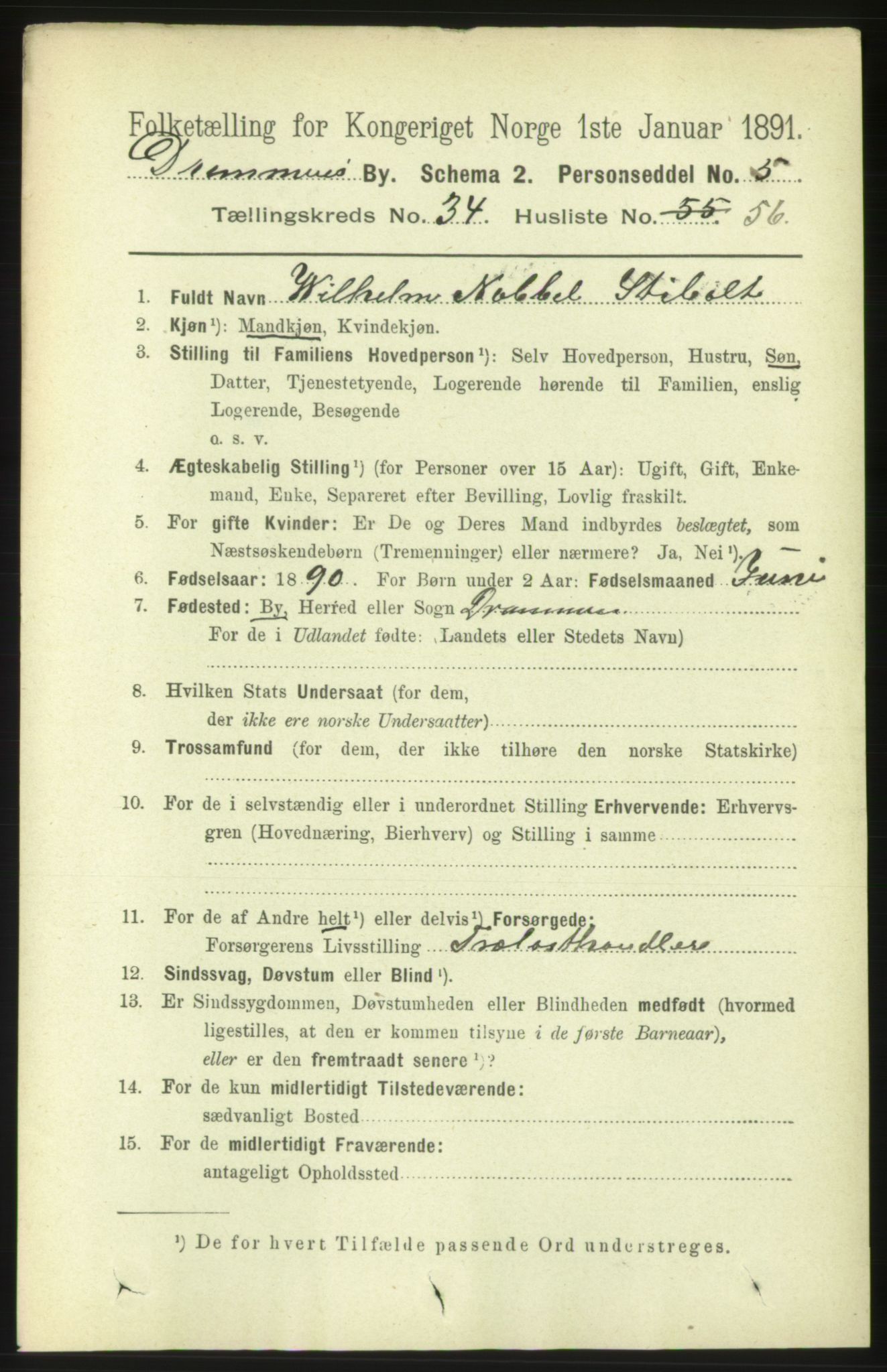 RA, 1891 census for 0602 Drammen, 1891, p. 21066