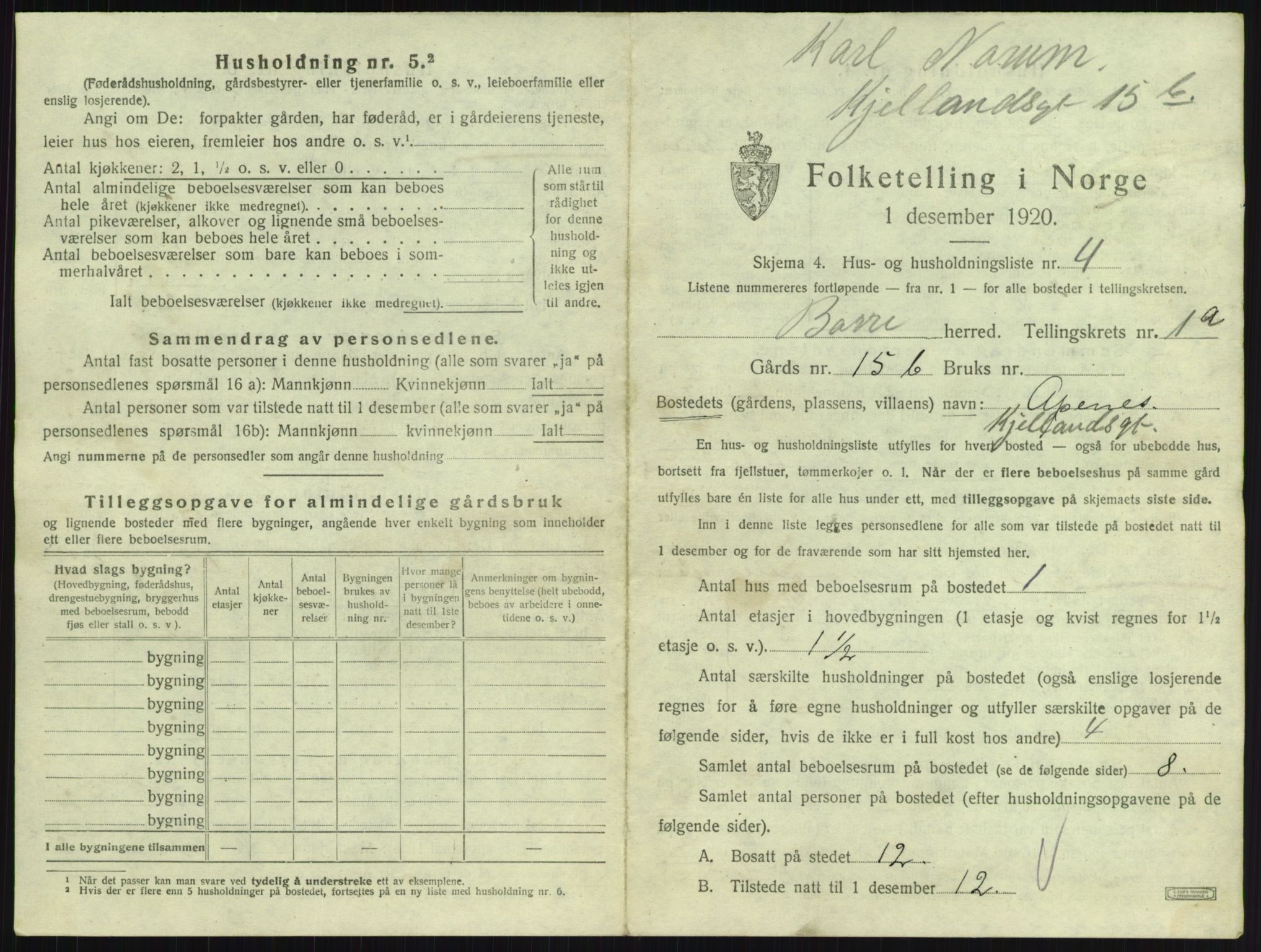 SAKO, 1920 census for Borre, 1920, p. 38