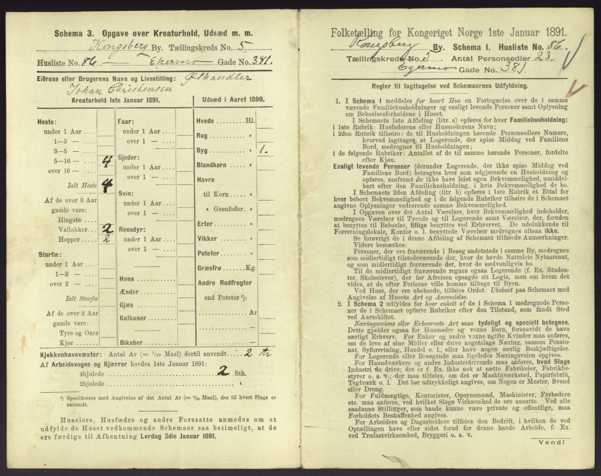 RA, 1891 census for 0604 Kongsberg, 1891, p. 919