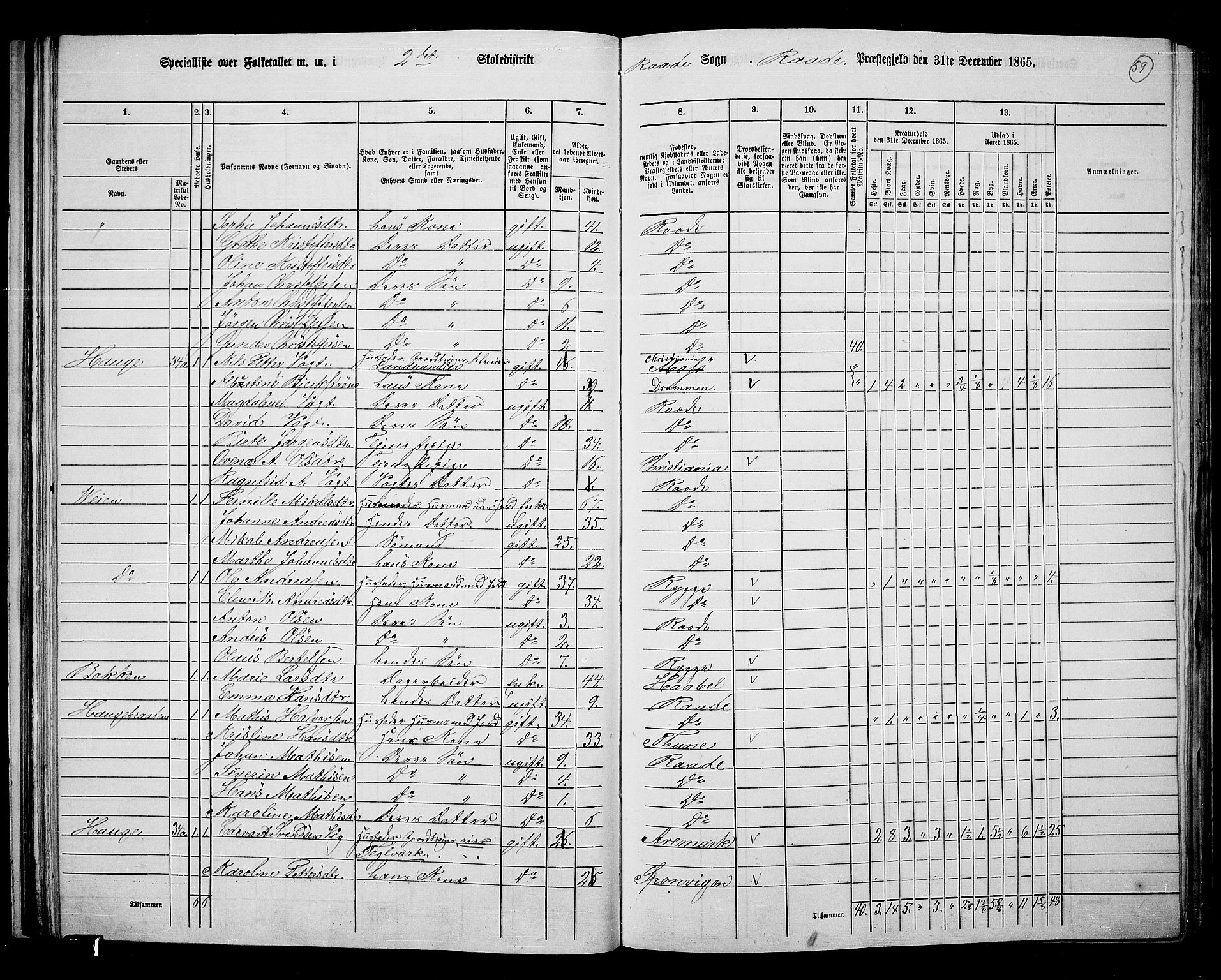 RA, 1865 census for Råde, 1865, p. 53