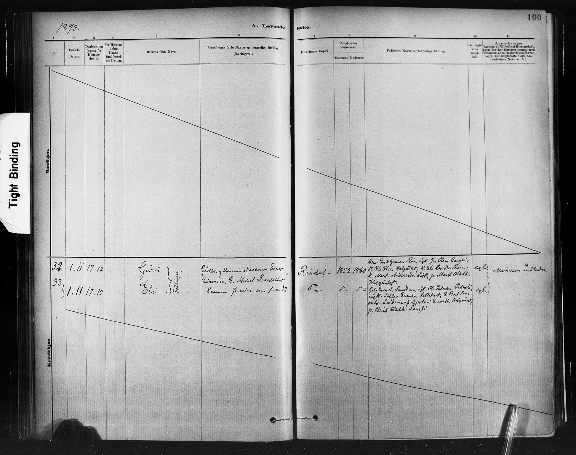 Ministerialprotokoller, klokkerbøker og fødselsregistre - Møre og Romsdal, AV/SAT-A-1454/598/L1069: Parish register (official) no. 598A03, 1882-1895, p. 100