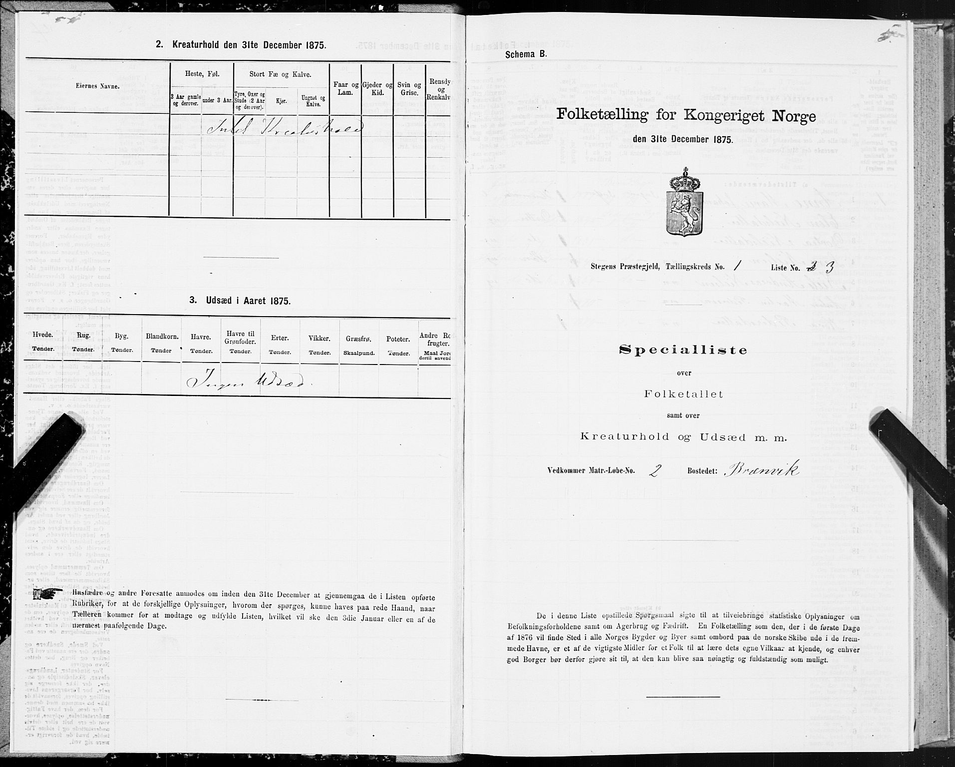 SAT, 1875 census for 1848P Steigen, 1875, p. 1005