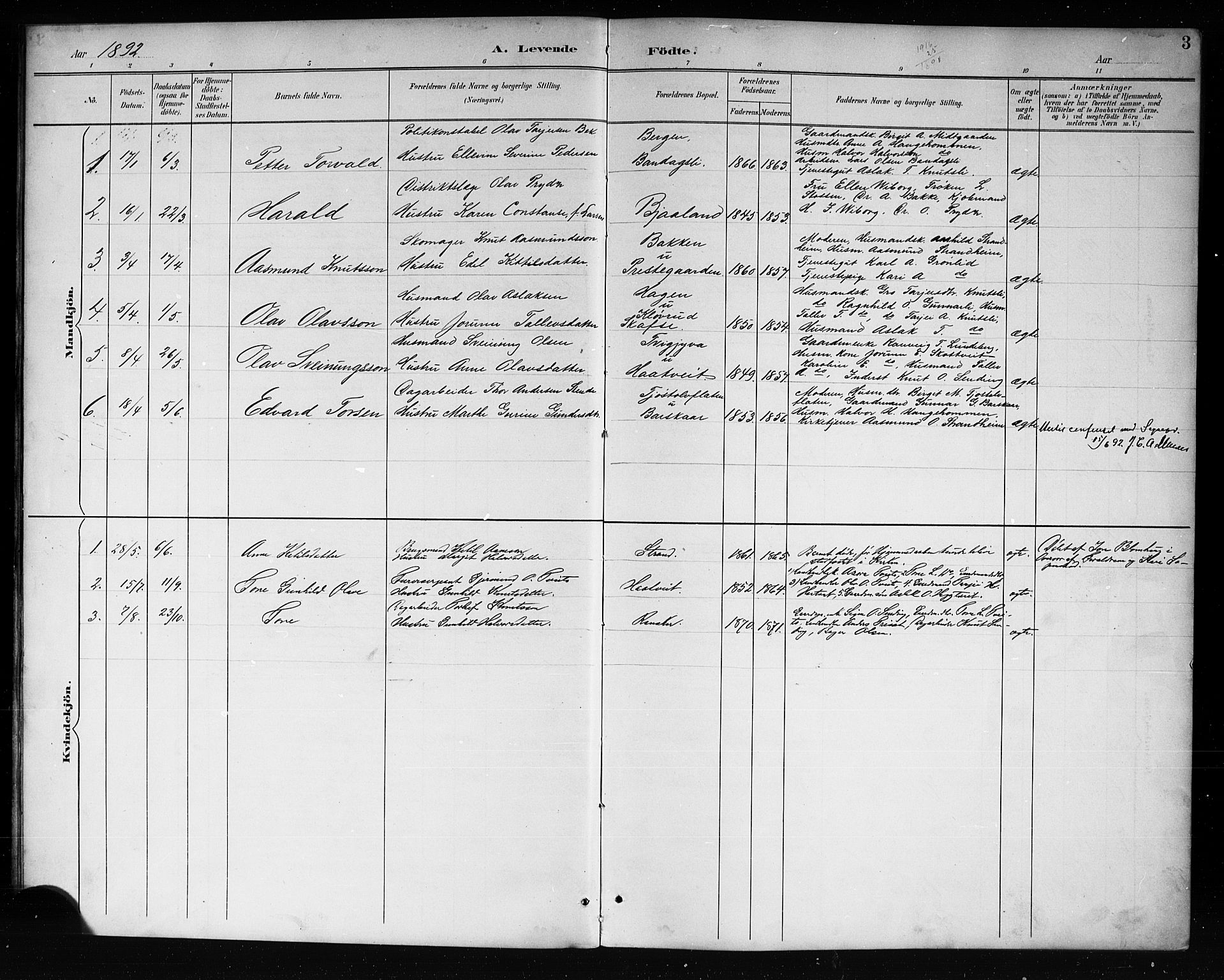 Lårdal kirkebøker, SAKO/A-284/G/Ga/L0003: Parish register (copy) no. I 3, 1891-1918, p. 3