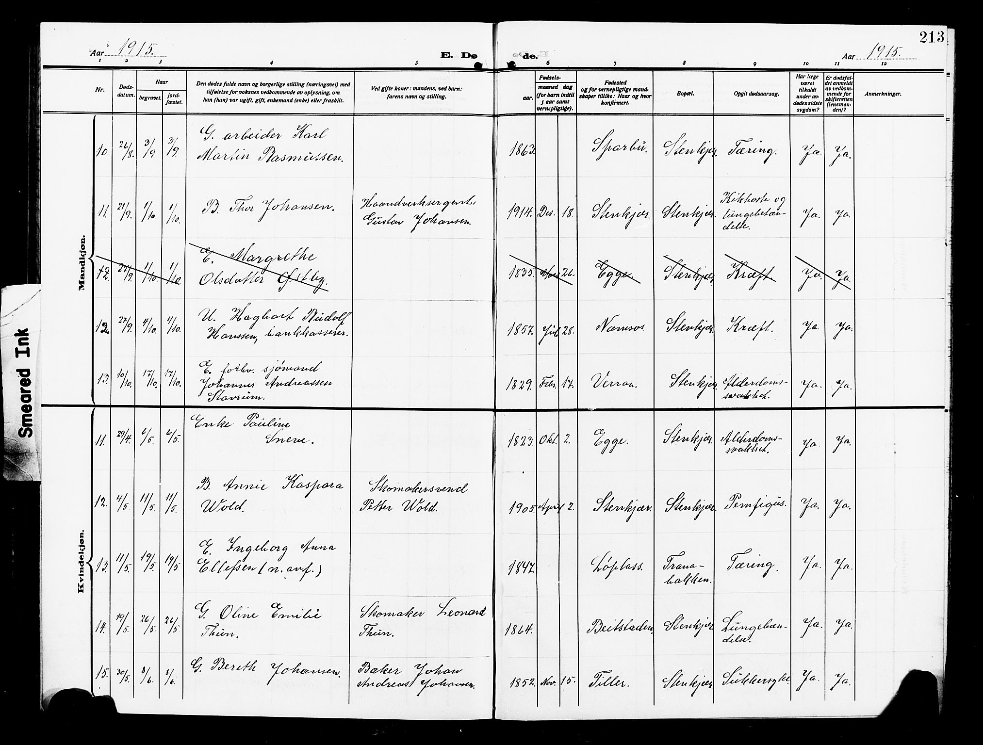 Ministerialprotokoller, klokkerbøker og fødselsregistre - Nord-Trøndelag, AV/SAT-A-1458/739/L0376: Parish register (copy) no. 739C04, 1908-1917, p. 213