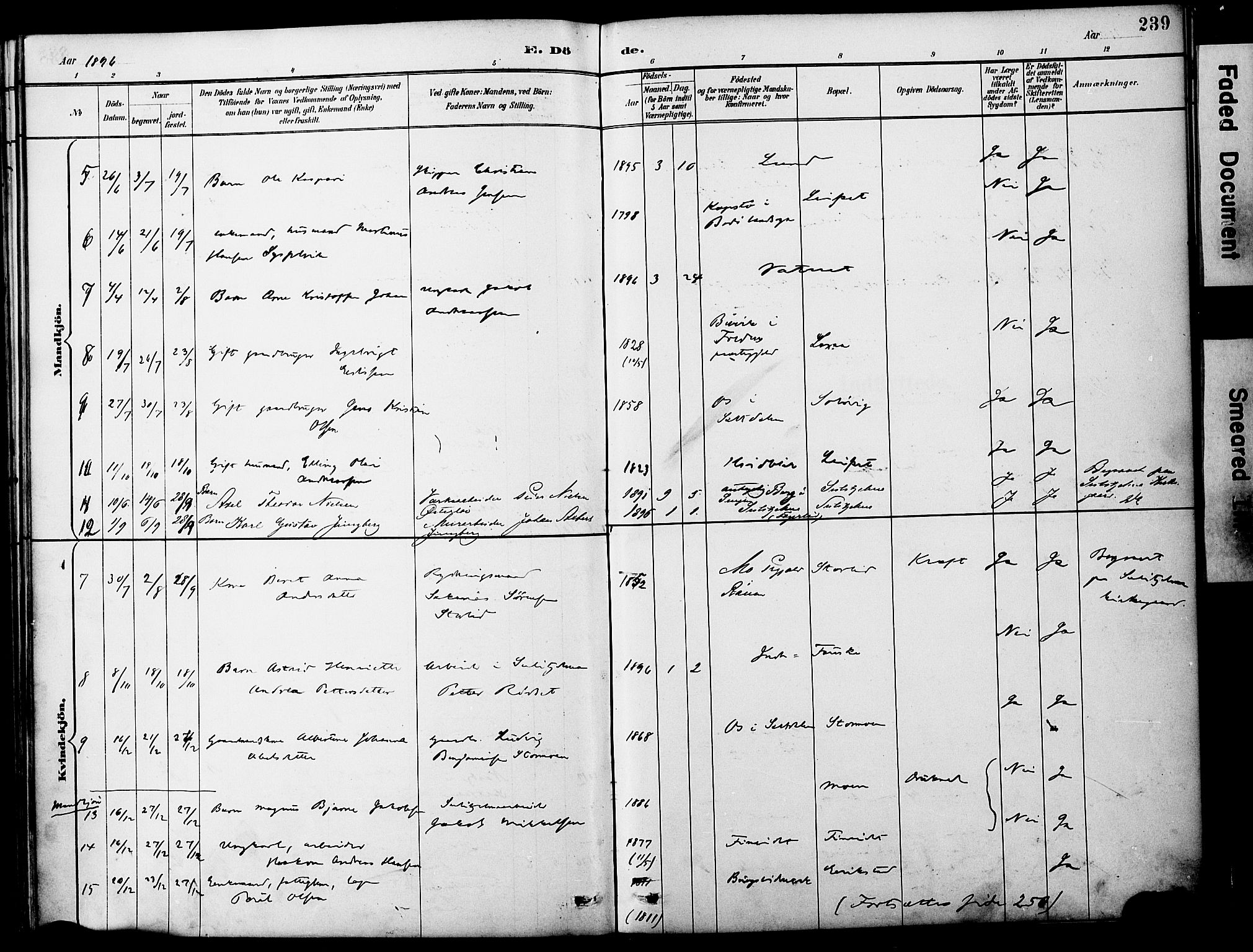 Ministerialprotokoller, klokkerbøker og fødselsregistre - Nordland, AV/SAT-A-1459/849/L0690: Parish register (official) no. 849A02, 1890-1897, p. 239