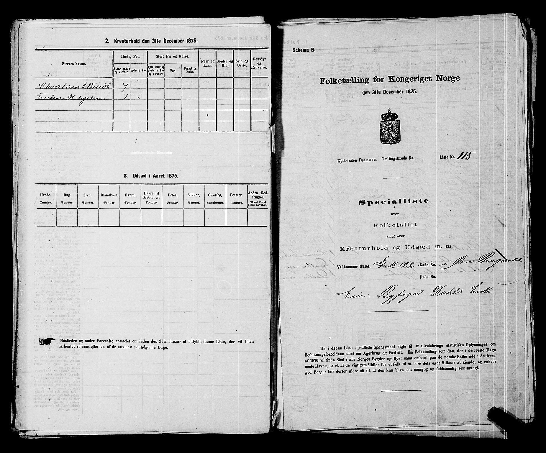 SAKO, 1875 census for 0602 Drammen, 1875, p. 360