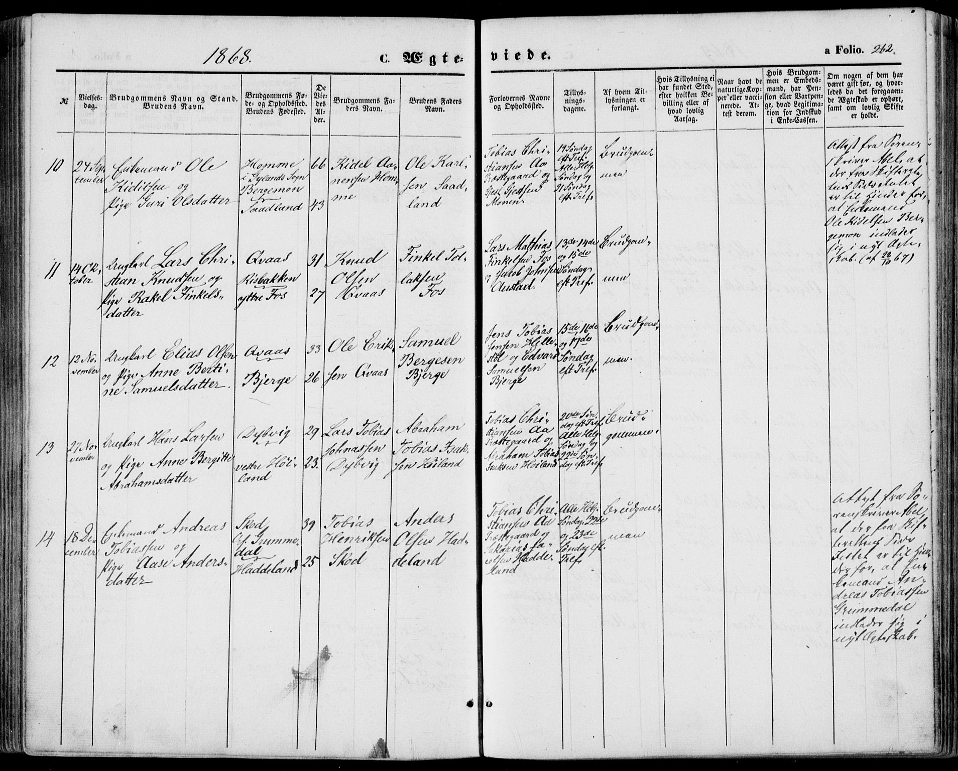 Lyngdal sokneprestkontor, SAK/1111-0029/F/Fa/Fac/L0010: Parish register (official) no. A 10, 1865-1878, p. 262
