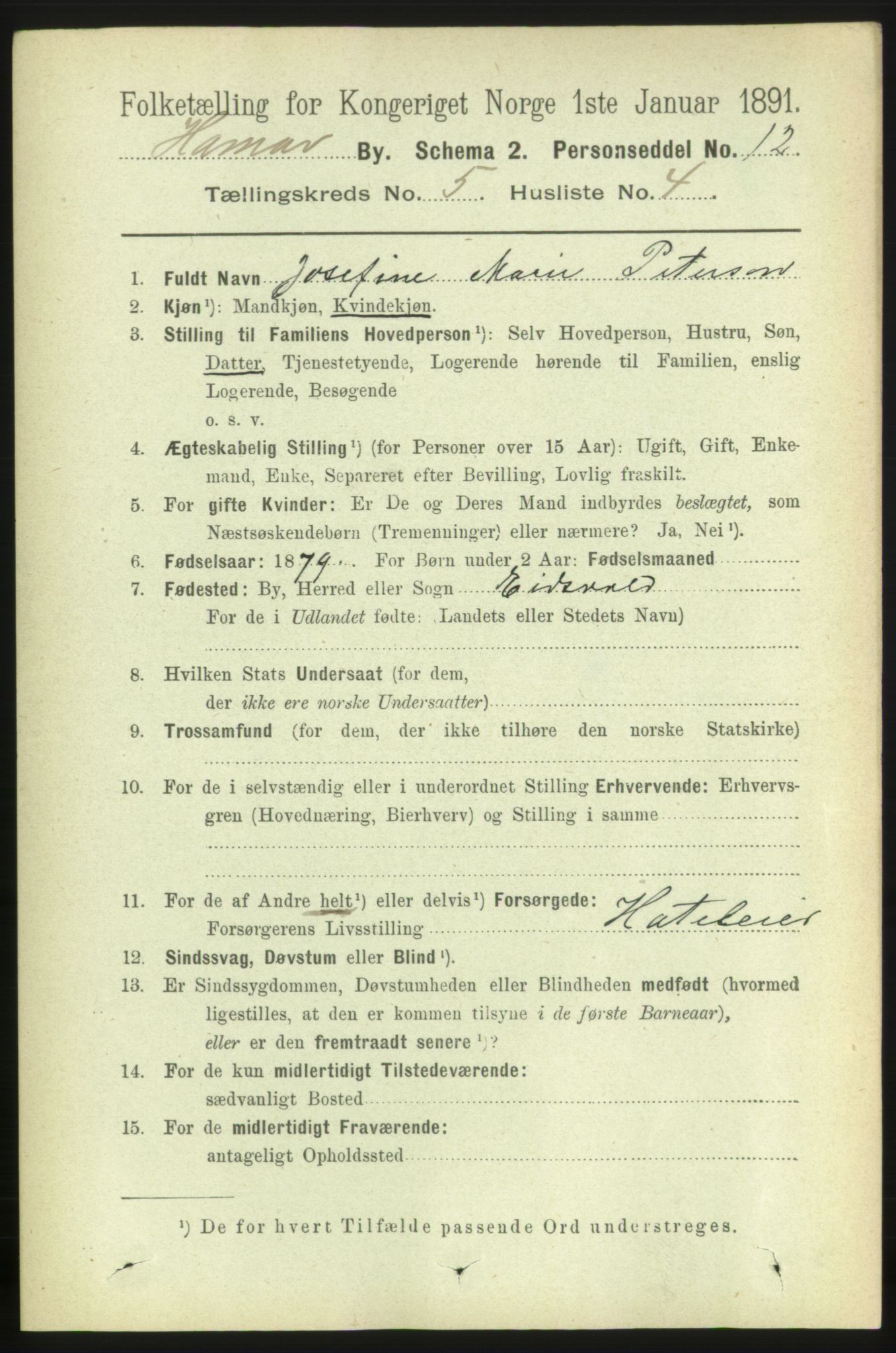 RA, 1891 census for 0401 Hamar, 1891, p. 3746