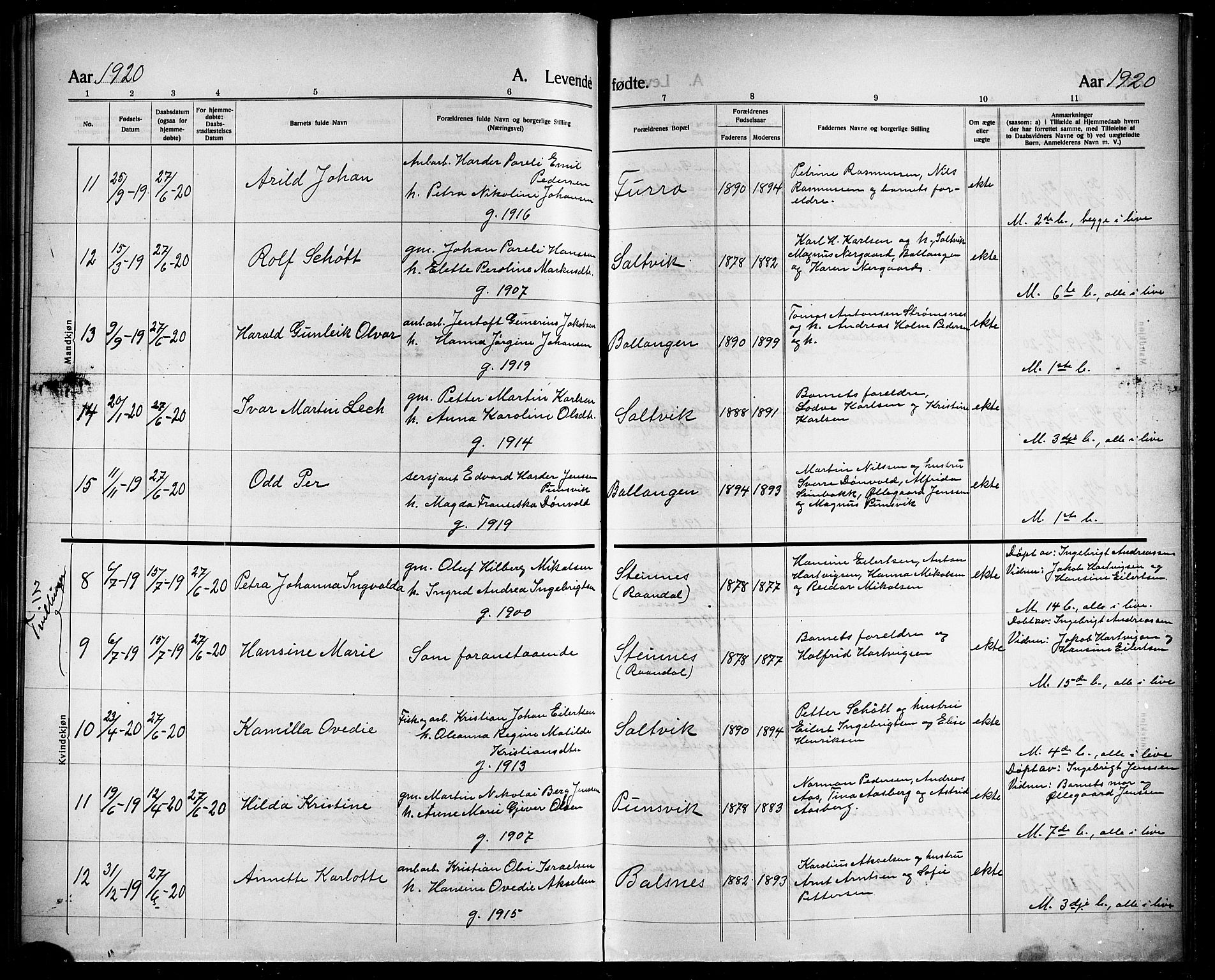 Ministerialprotokoller, klokkerbøker og fødselsregistre - Nordland, AV/SAT-A-1459/863/L0916: Parish register (copy) no. 863C06, 1907-1921