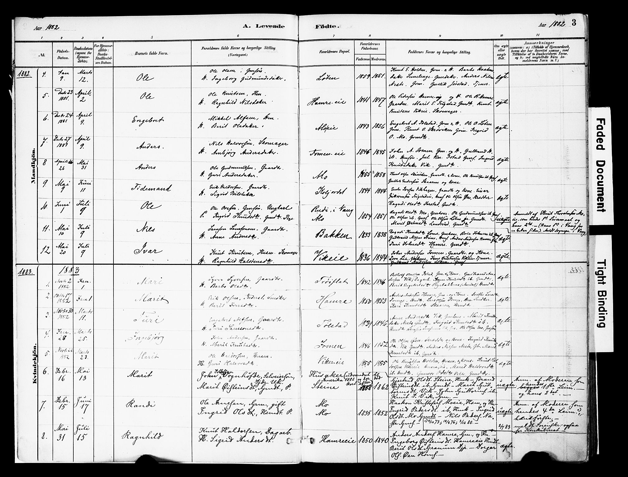 Vestre Slidre prestekontor, SAH/PREST-136/H/Ha/Haa/L0004: Parish register (official) no. 4, 1881-1911, p. 3