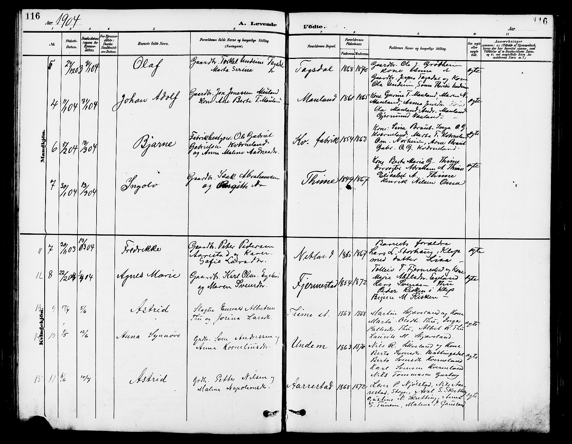 Lye sokneprestkontor, AV/SAST-A-101794/001/30BB/L0007: Parish register (copy) no. B 8, 1889-1909, p. 116