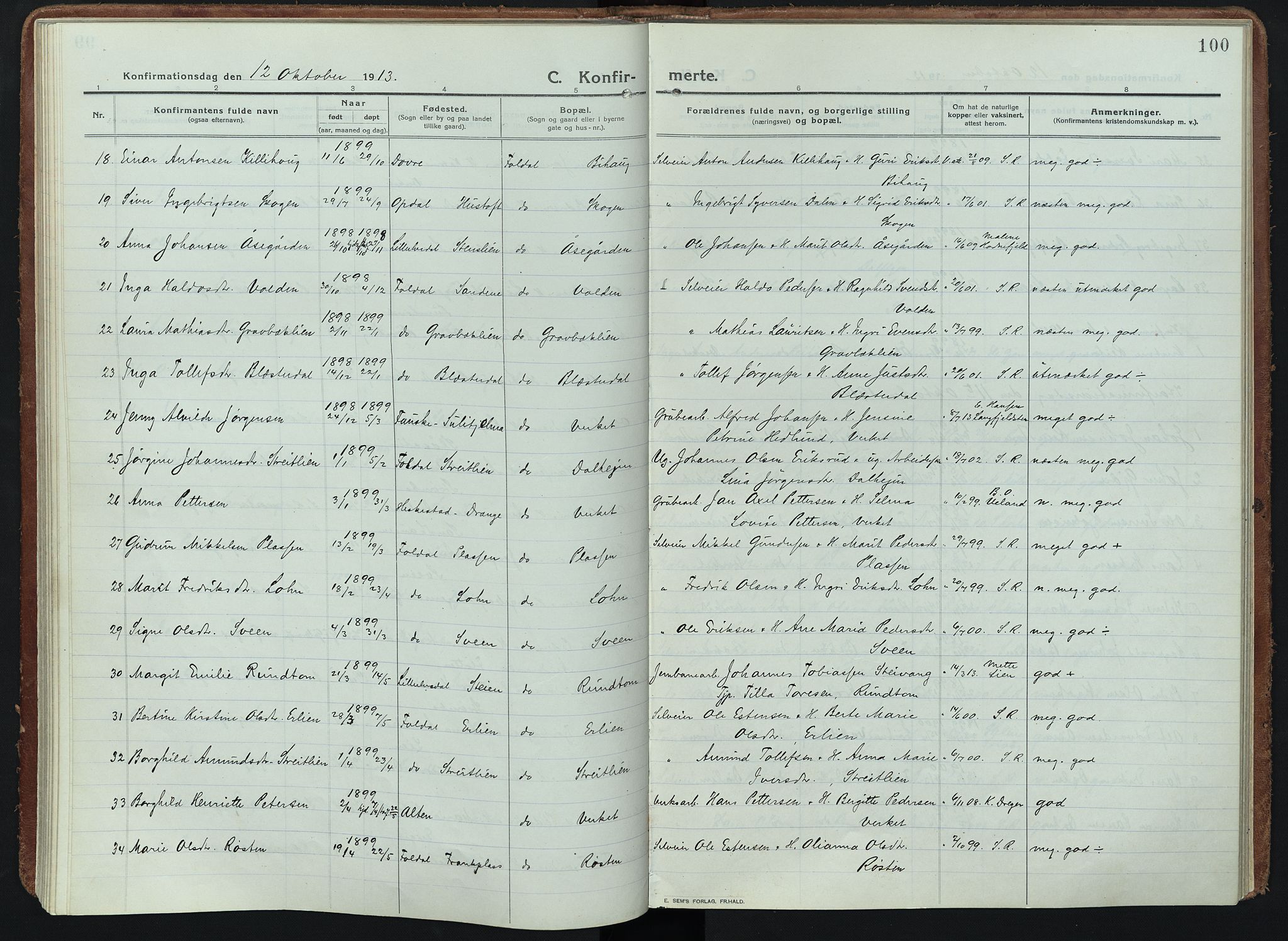 Alvdal prestekontor, SAH/PREST-060/H/Ha/Haa/L0005: Parish register (official) no. 5, 1913-1930, p. 100