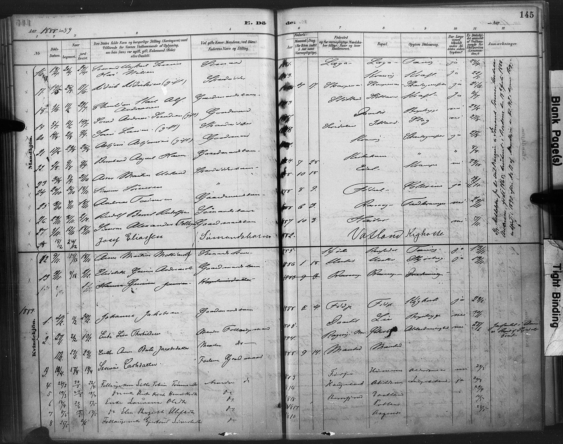 Flekkefjord sokneprestkontor, AV/SAK-1111-0012/F/Fa/Fab/L0006: Parish register (official) no. A 6, 1886-1901, p. 145