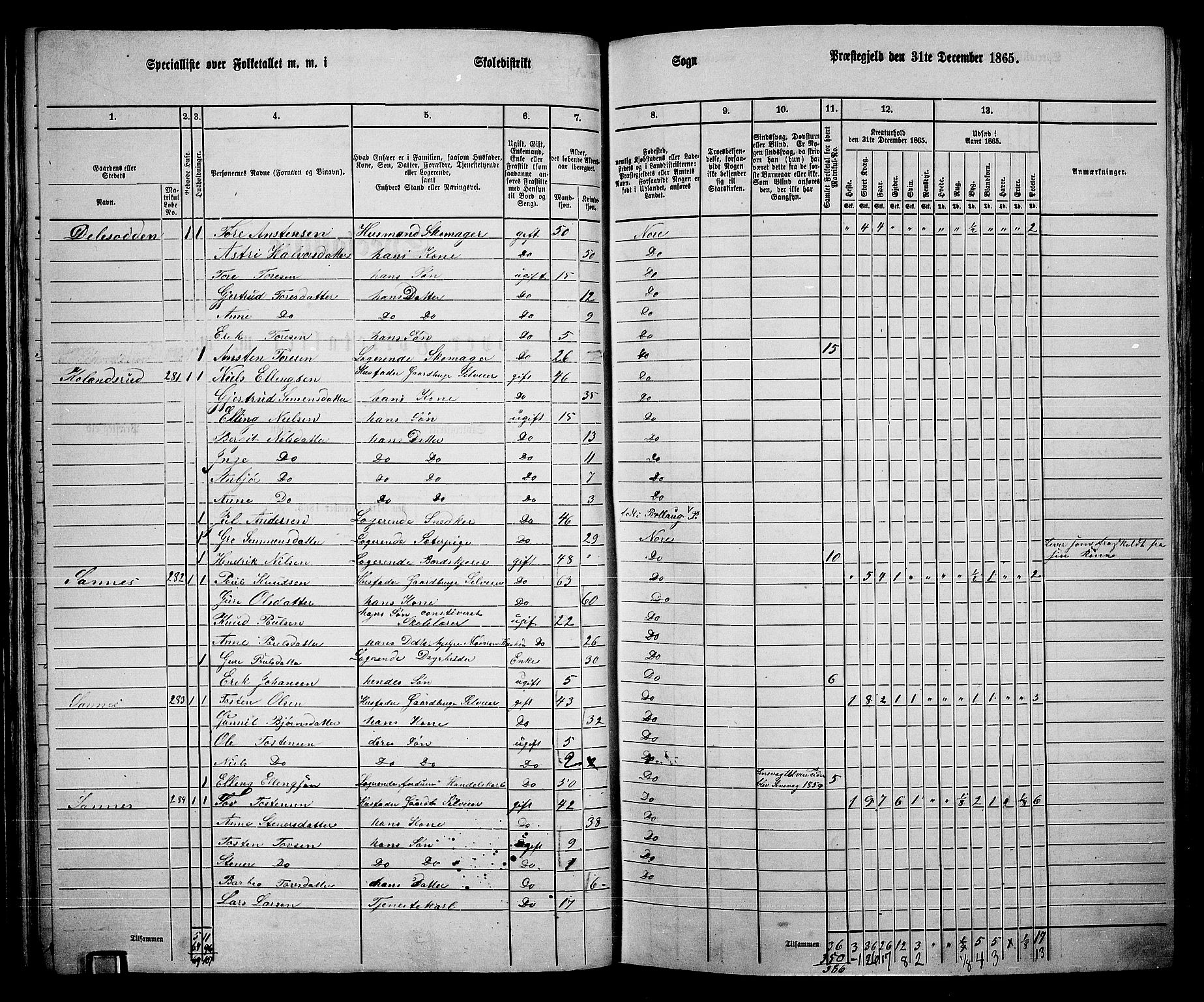 RA, 1865 census for Nore, 1865, p. 64