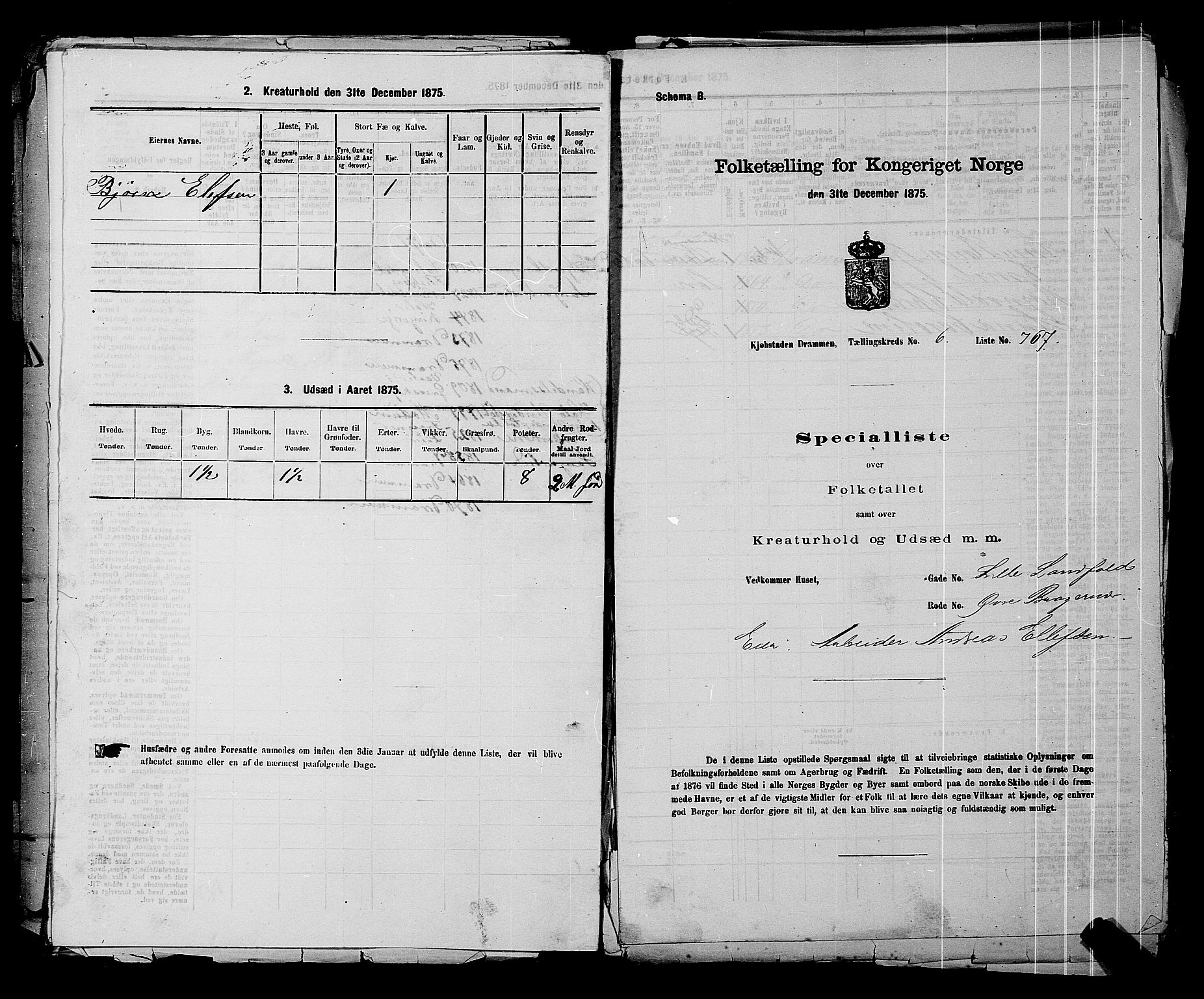 SAKO, 1875 census for 0602 Drammen, 1875, p. 524