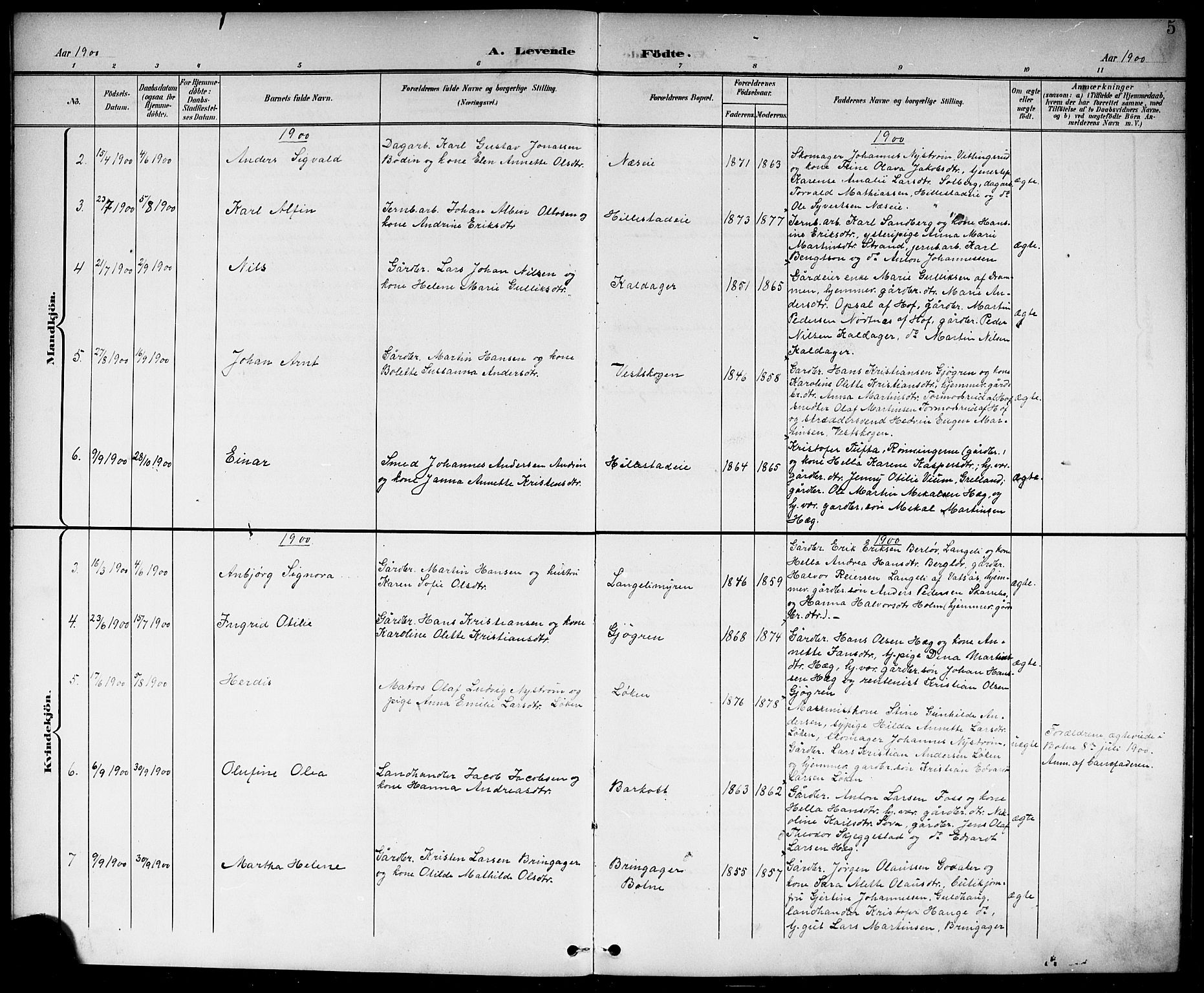 Botne kirkebøker, AV/SAKO-A-340/G/Gb/L0004: Parish register (copy) no. II 3, 1899-1917, p. 5