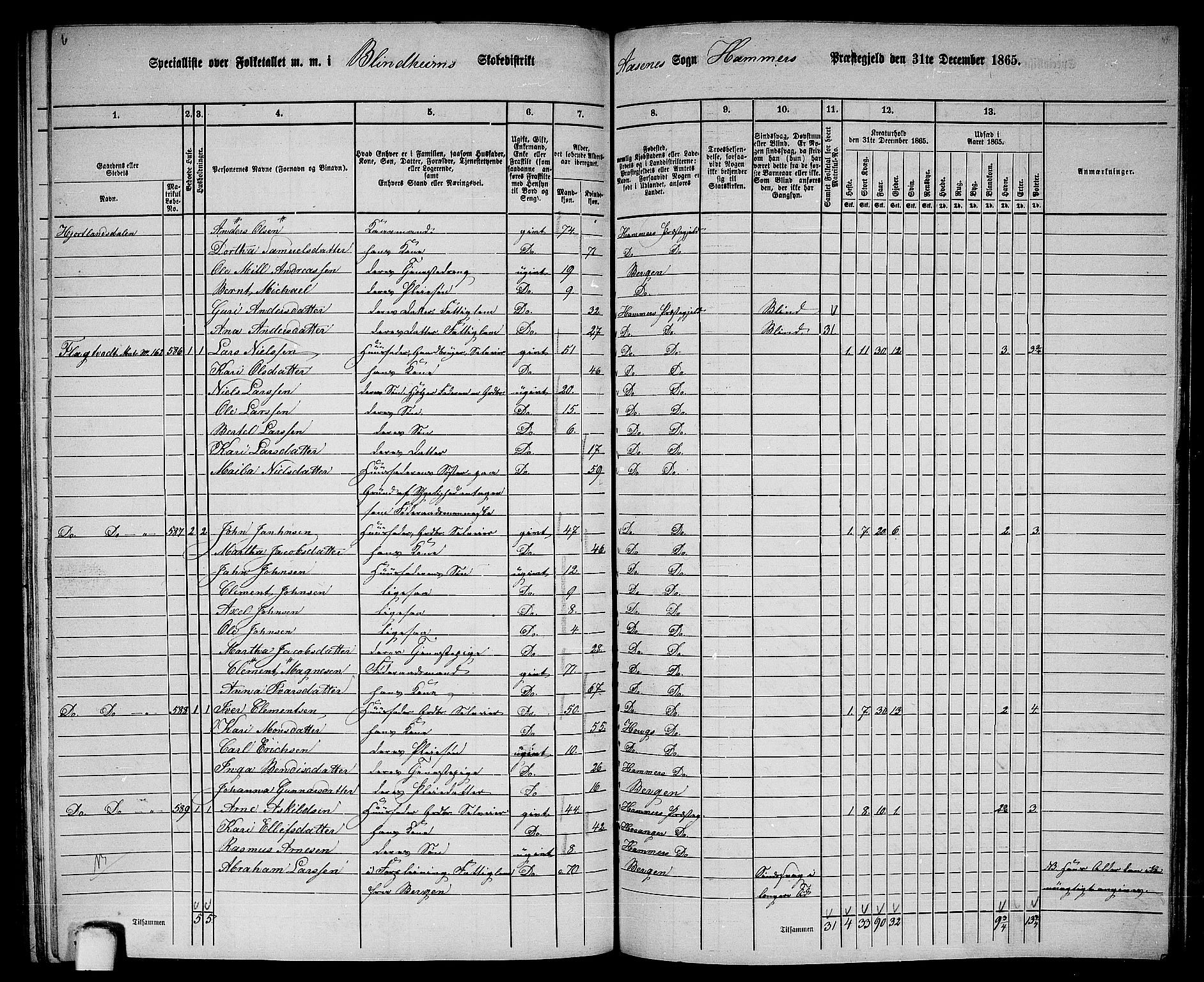 RA, 1865 census for Hamre, 1865, p. 196