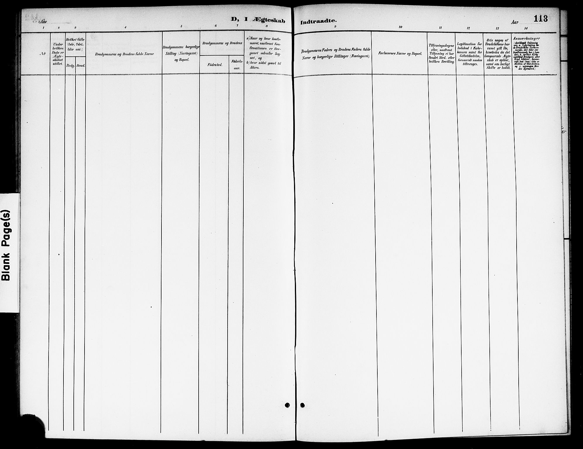 Nes prestekontor Kirkebøker, AV/SAO-A-10410/G/Gb/L0001: Parish register (copy) no. II 1, 1901-1917, p. 113