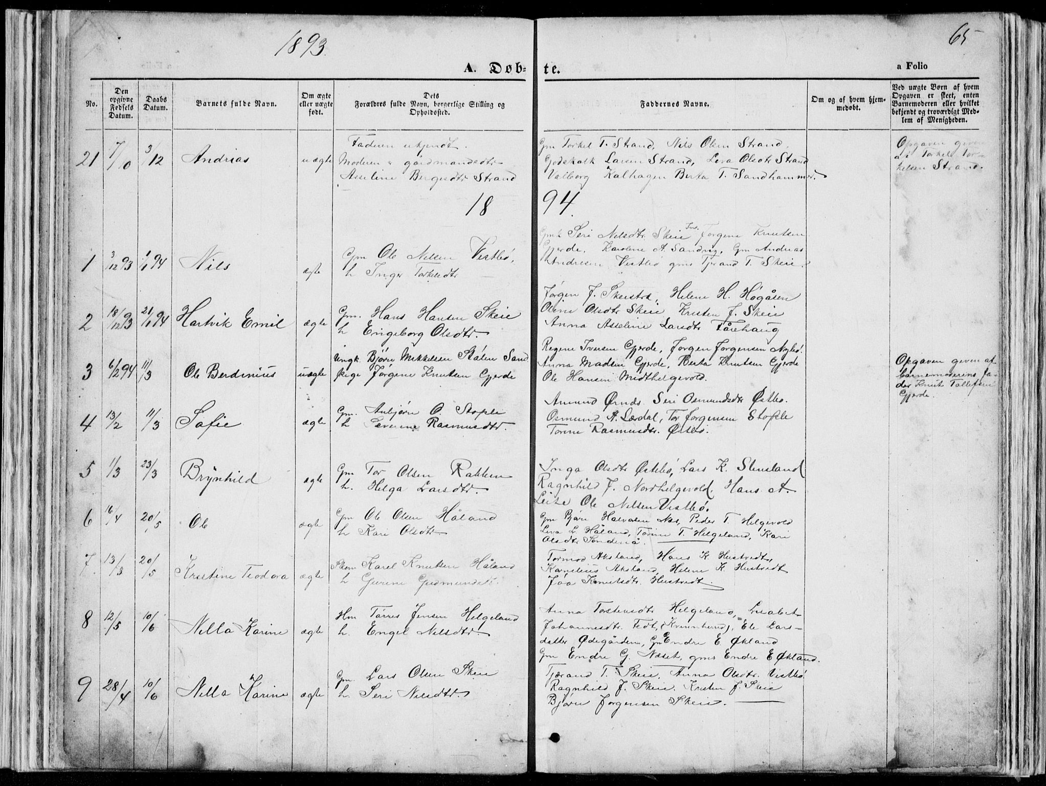 Vikedal sokneprestkontor, SAST/A-101840/01/V: Parish register (copy) no. B 10, 1864-1926, p. 65