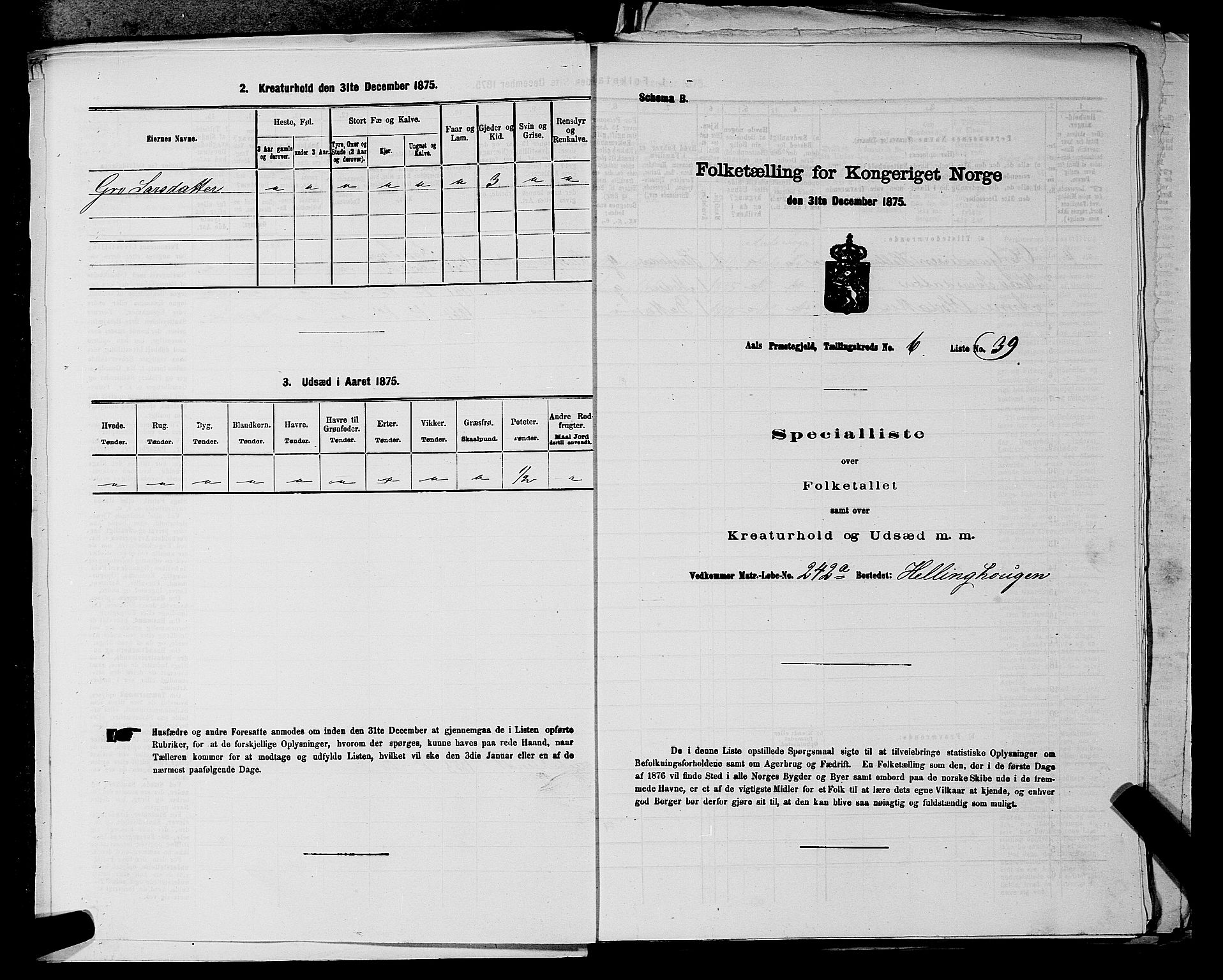 SAKO, 1875 census for 0619P Ål, 1875, p. 818