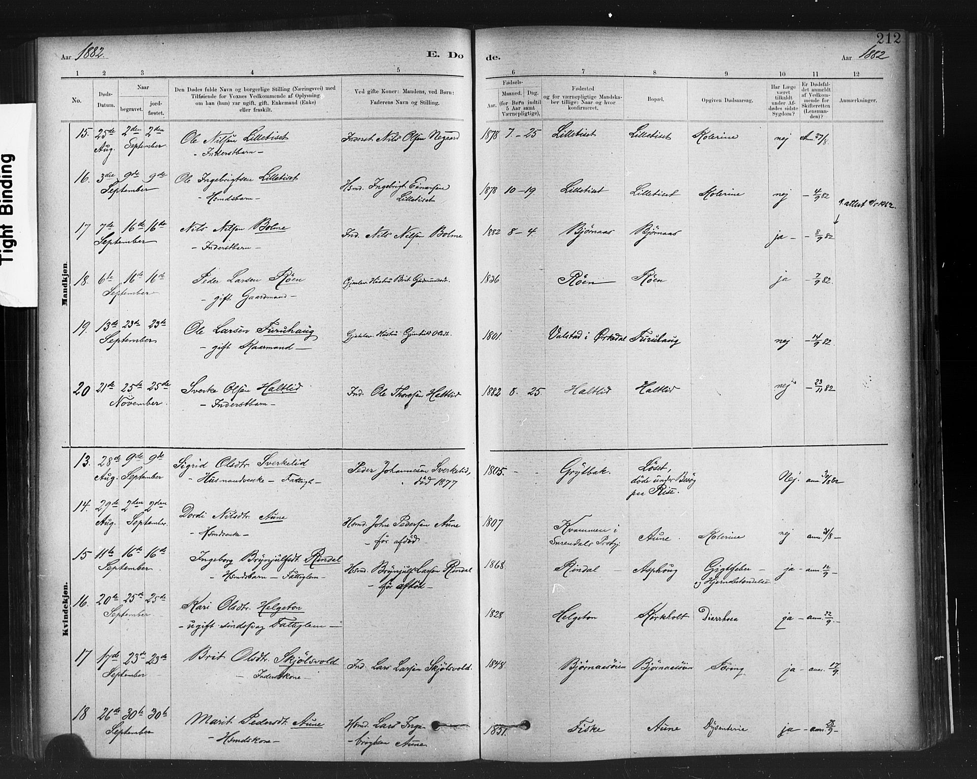 Ministerialprotokoller, klokkerbøker og fødselsregistre - Møre og Romsdal, AV/SAT-A-1454/598/L1069: Parish register (official) no. 598A03, 1882-1895, p. 212