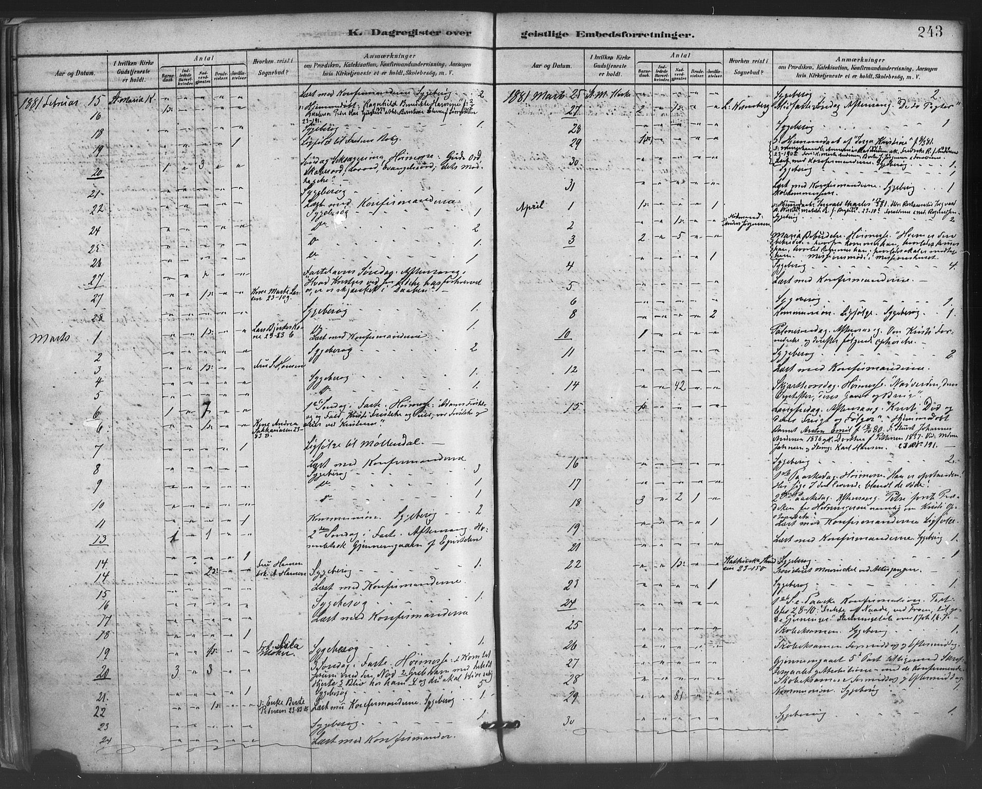 Mariakirken Sokneprestembete, AV/SAB-A-76901/H/Haa/L0007: Parish register (official) no. A 7, 1878-1893, p. 243