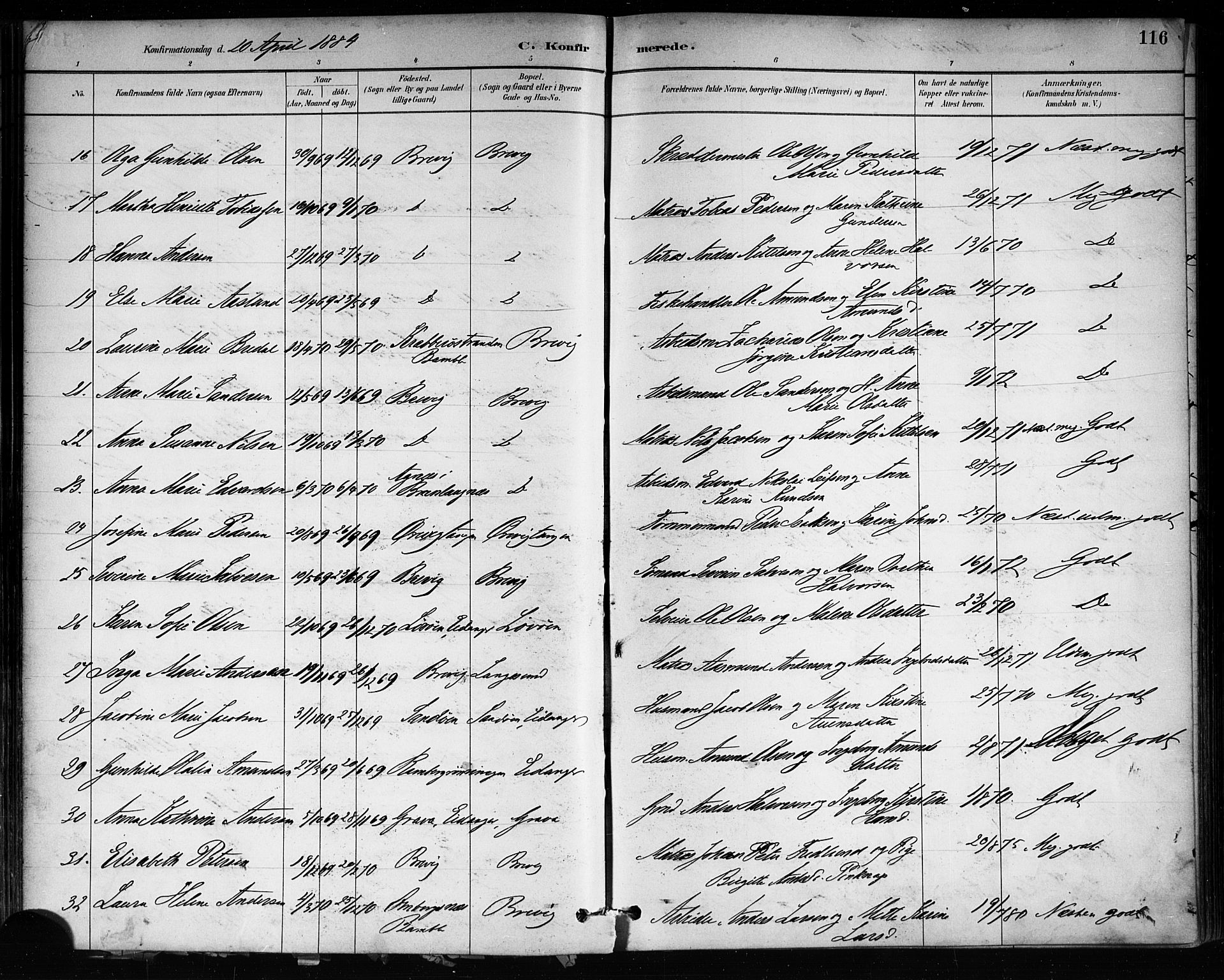 Brevik kirkebøker, SAKO/A-255/F/Fa/L0007: Parish register (official) no. 7, 1882-1900, p. 116