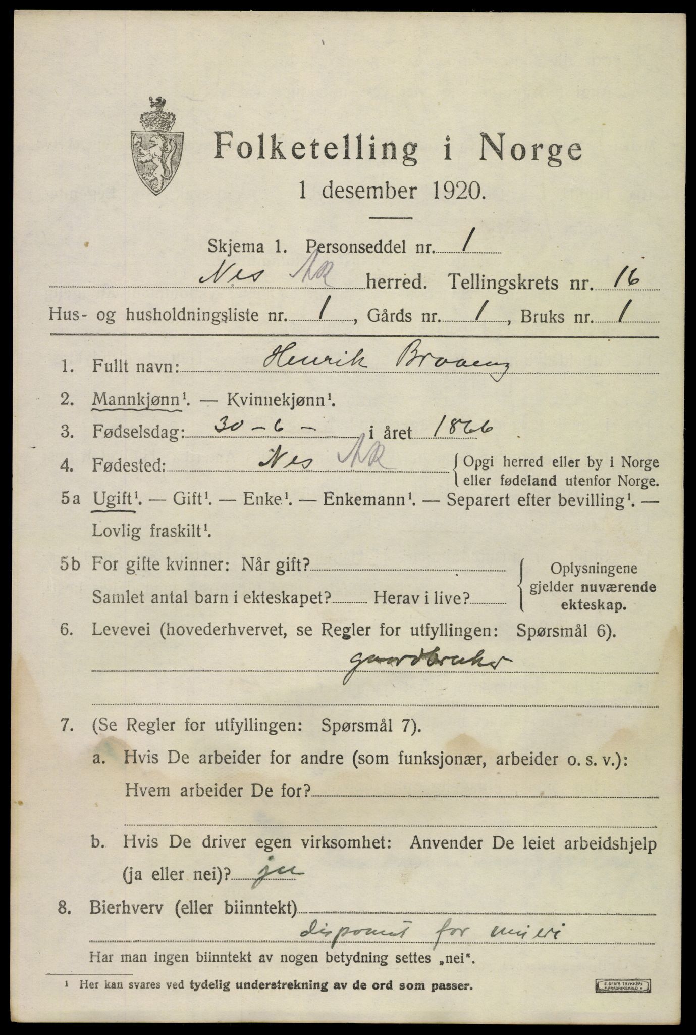 SAO, 1920 census for Nes, 1920, p. 15682