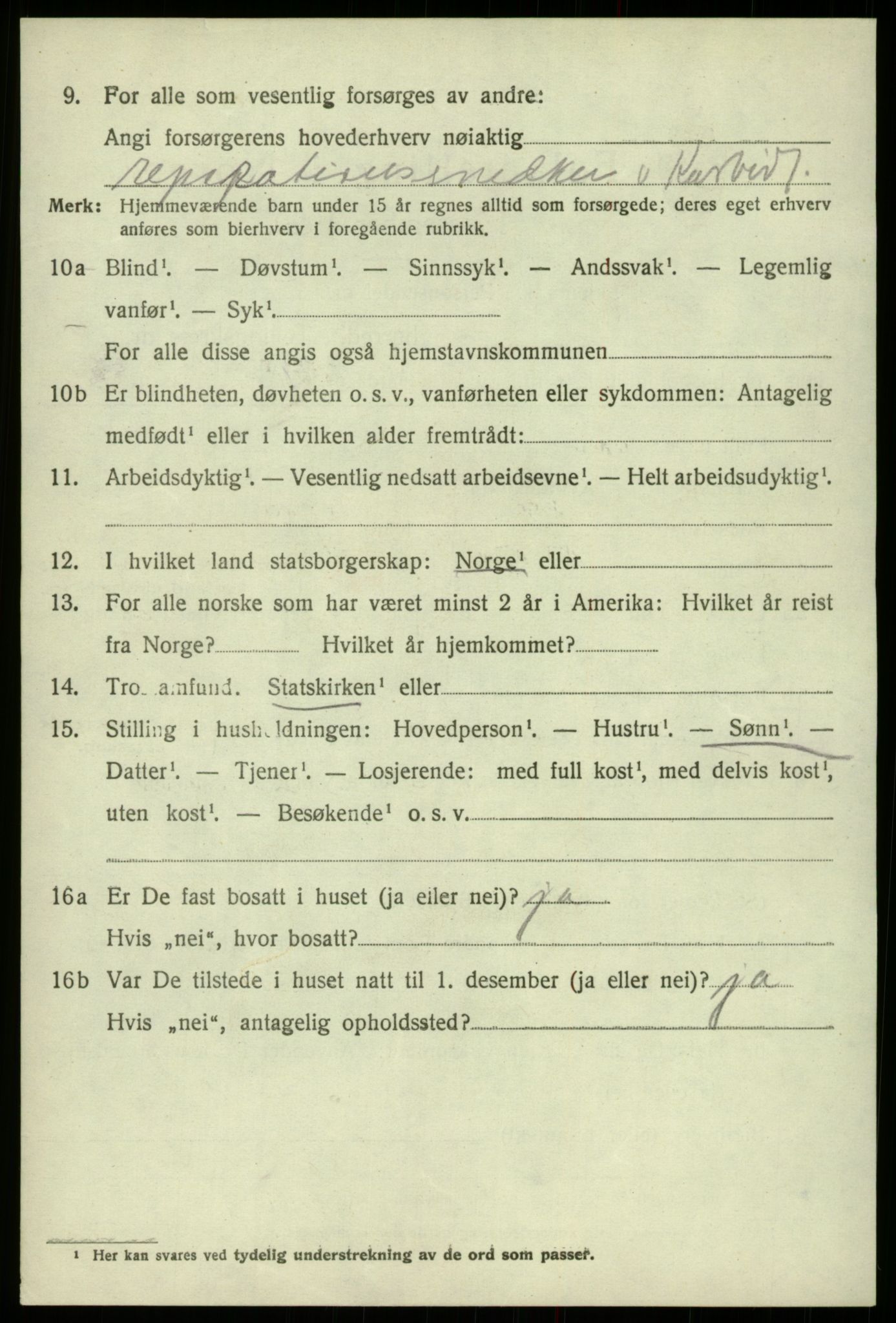 SAB, 1920 census for Odda, 1920, p. 4872