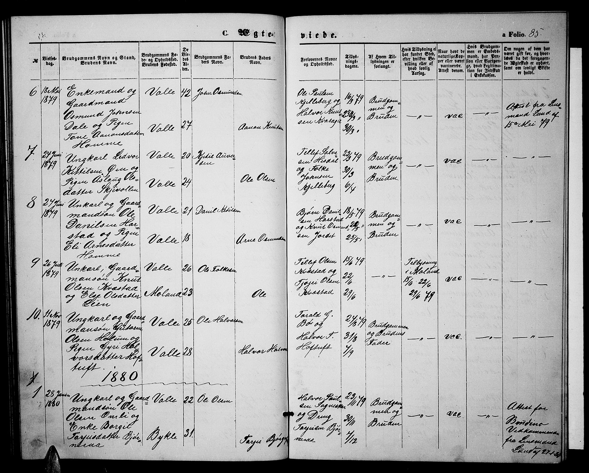 Valle sokneprestkontor, SAK/1111-0044/F/Fb/Fbc/L0003: Parish register (copy) no. B 3, 1871-1890, p. 85
