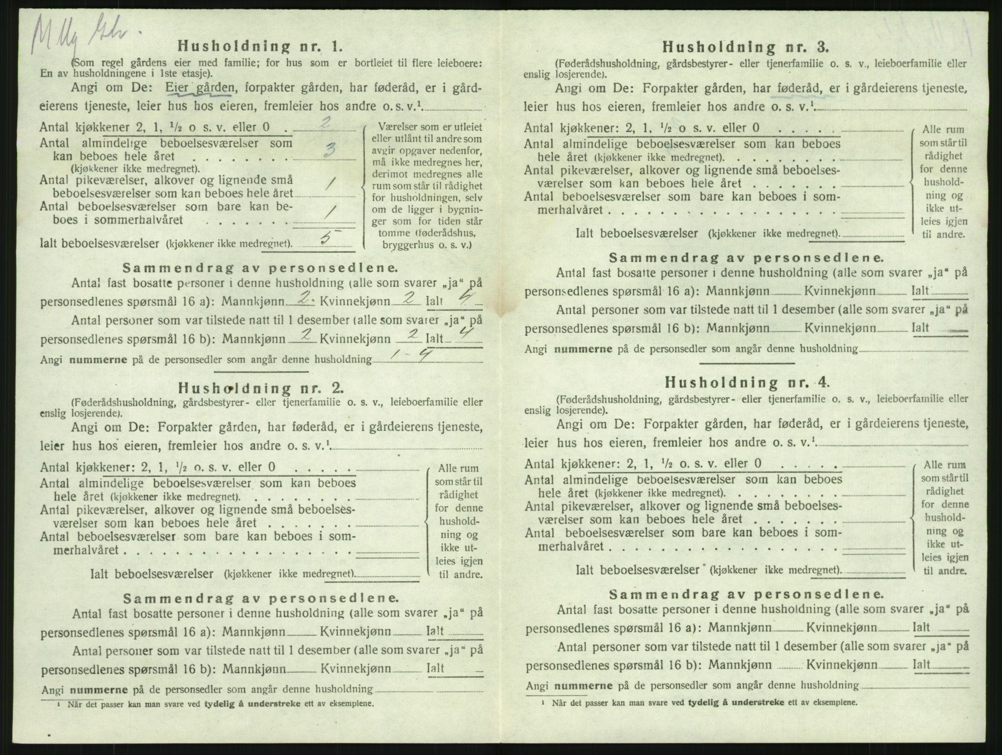 SAKO, 1920 census for Brunlanes, 1920, p. 1200