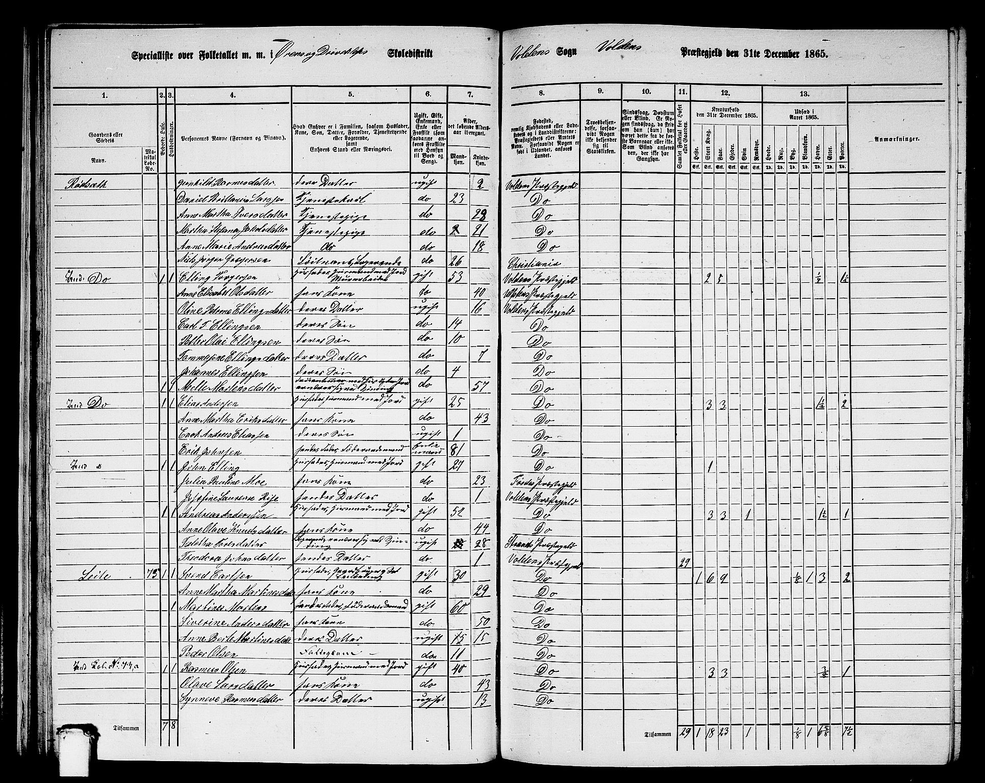 RA, 1865 census for Volda, 1865, p. 44