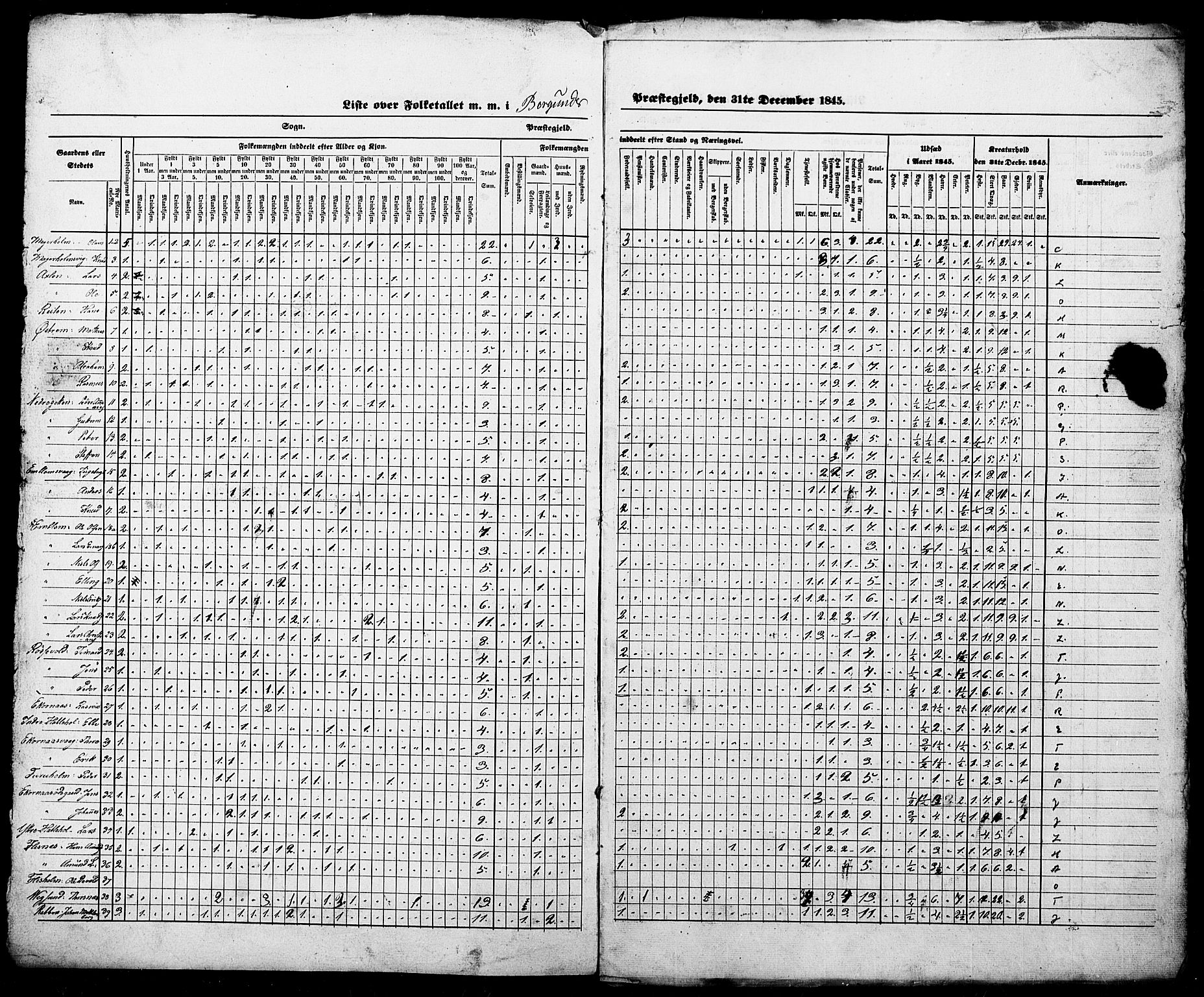 SAT, Census 1845 for Borgund, 1845, p. 22