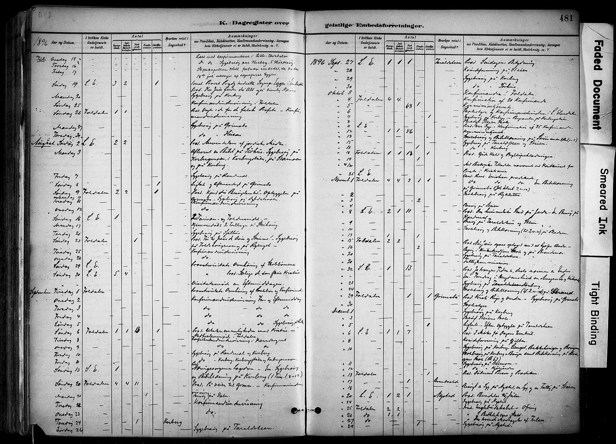 Alvdal prestekontor, AV/SAH-PREST-060/H/Ha/Haa/L0002: Parish register (official) no. 2, 1883-1906, p. 481