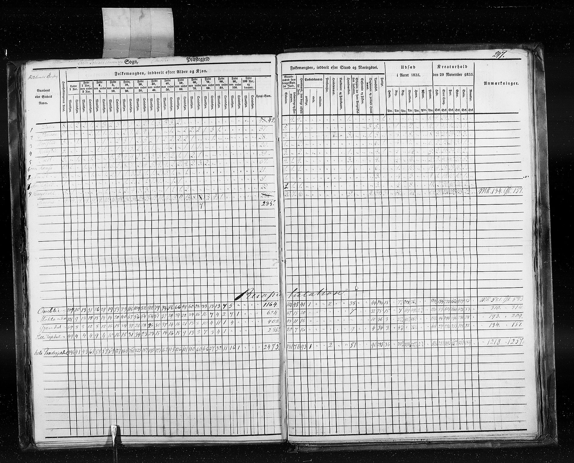 RA, Census 1835, vol. 5: Bratsberg amt og Nedenes og Råbyggelaget amt, 1835, p. 247