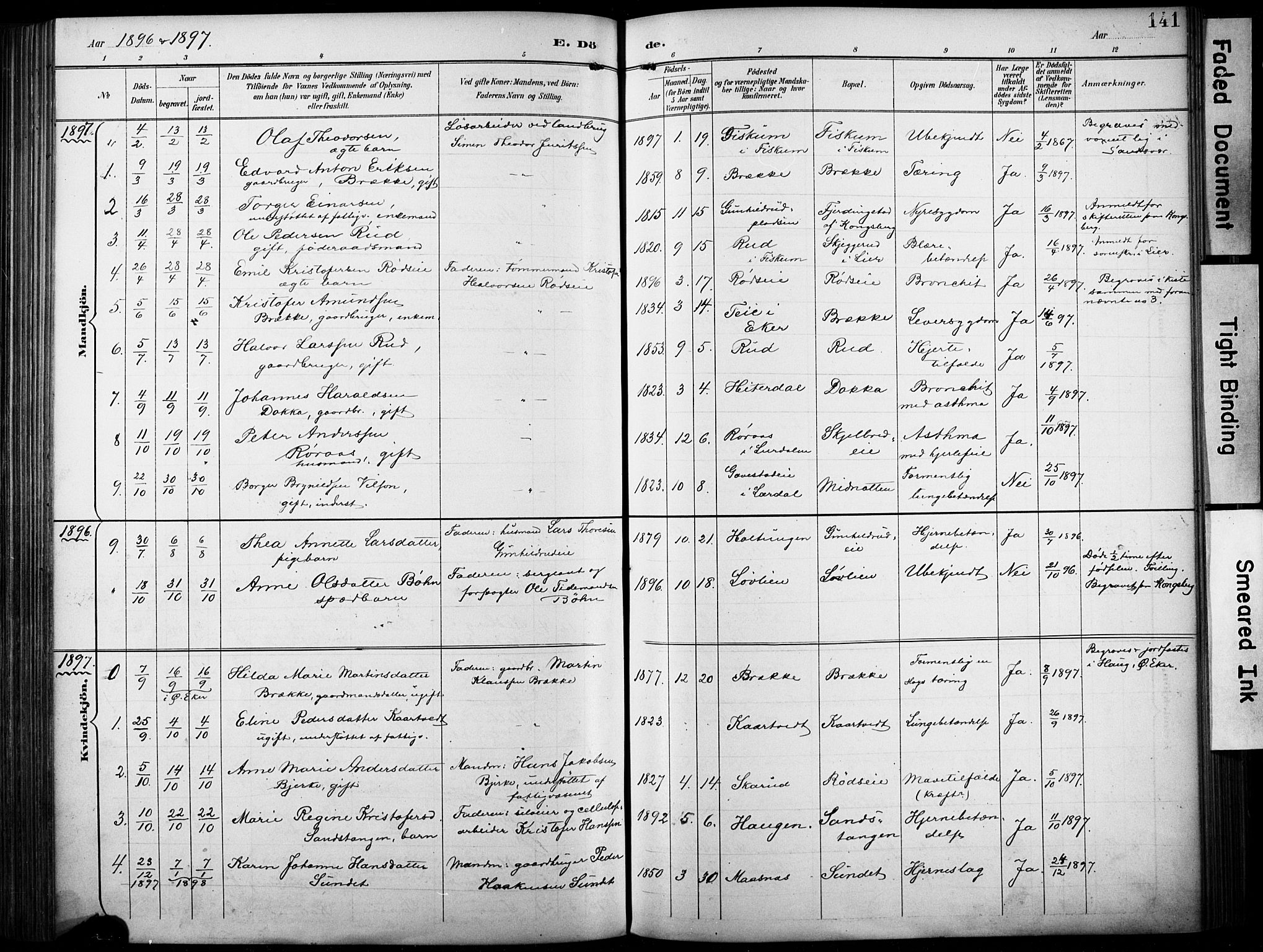 Fiskum kirkebøker, SAKO/A-15/F/Fa/L0003: Parish register (official) no. 3, 1890-1905, p. 141